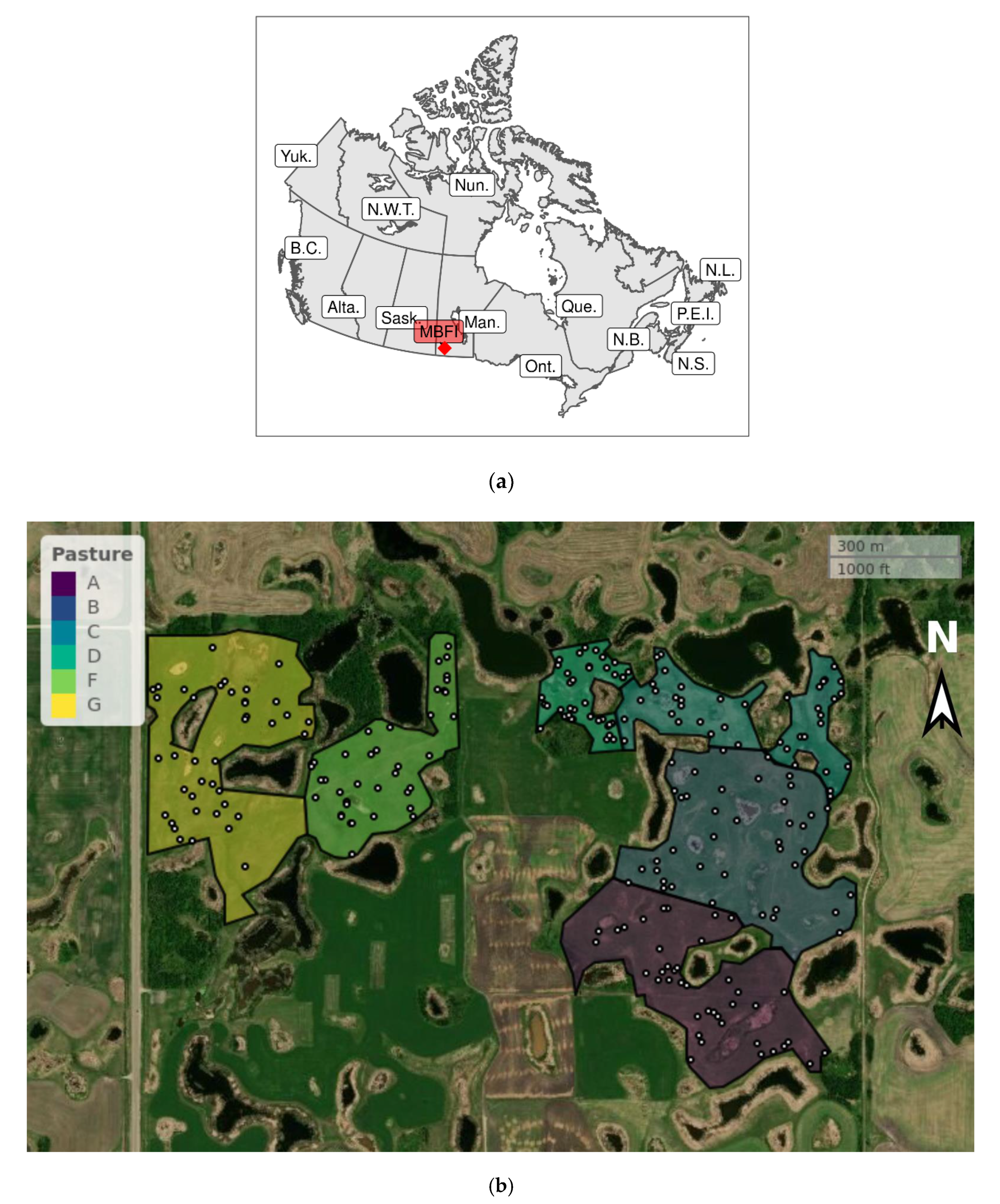 Soilsystems 04 00041 g001