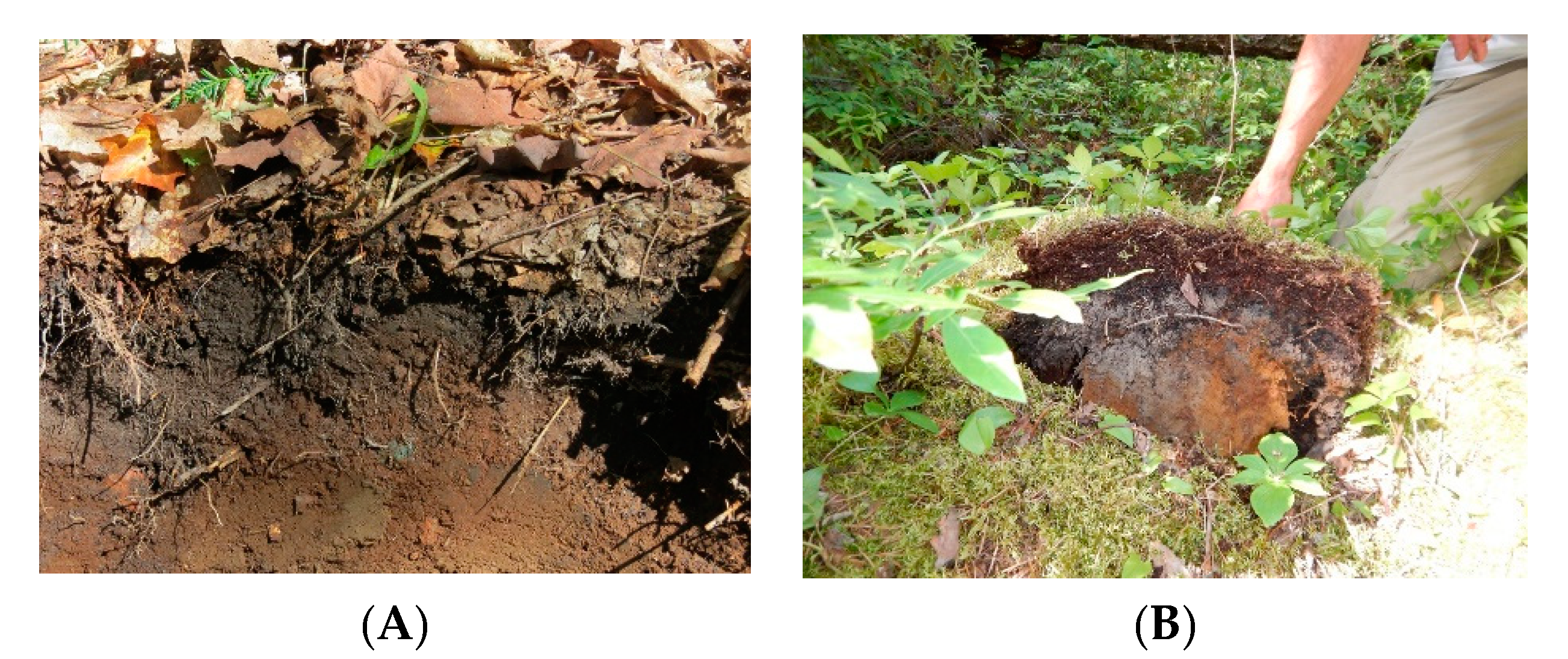 Soilsystems 04 00054 g002 Soilsystems 04 00054 g002