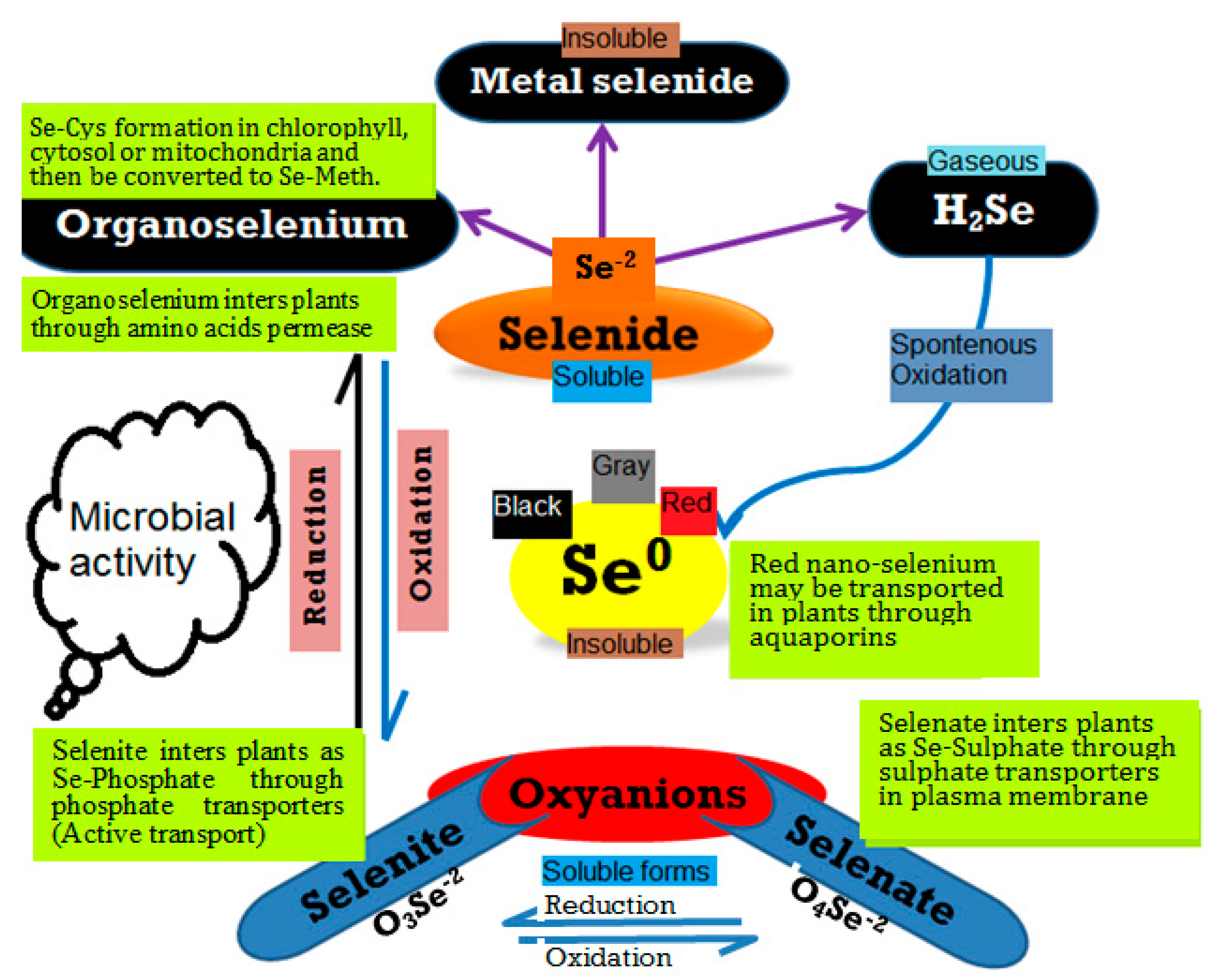 Soilsystems 04 00057 g001