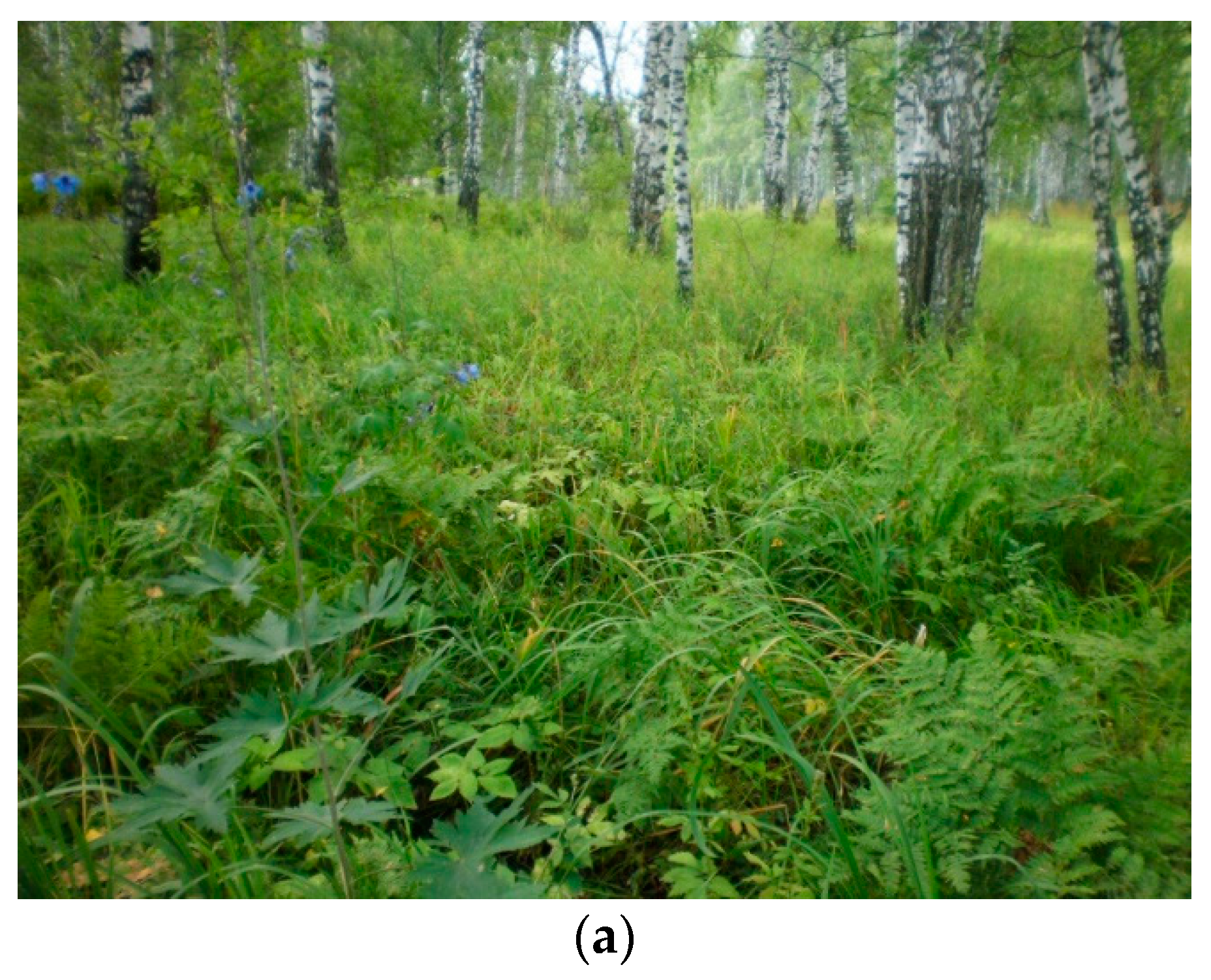 Soilsystems 05 00014 g001a