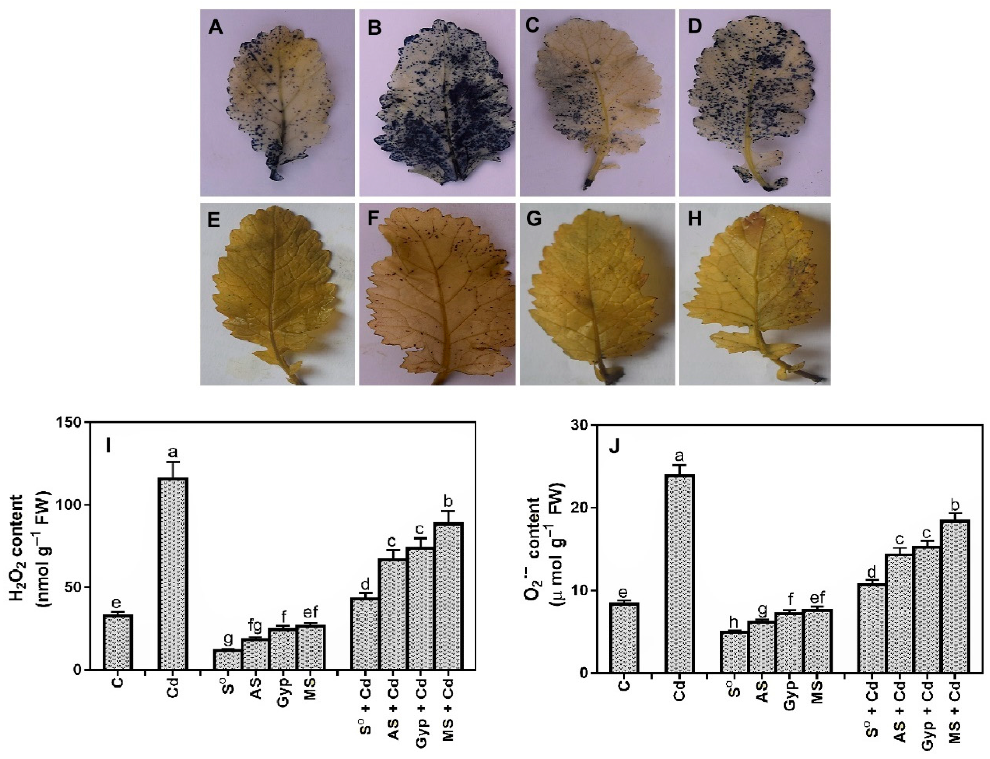 Soilsystems 05 00029 g004