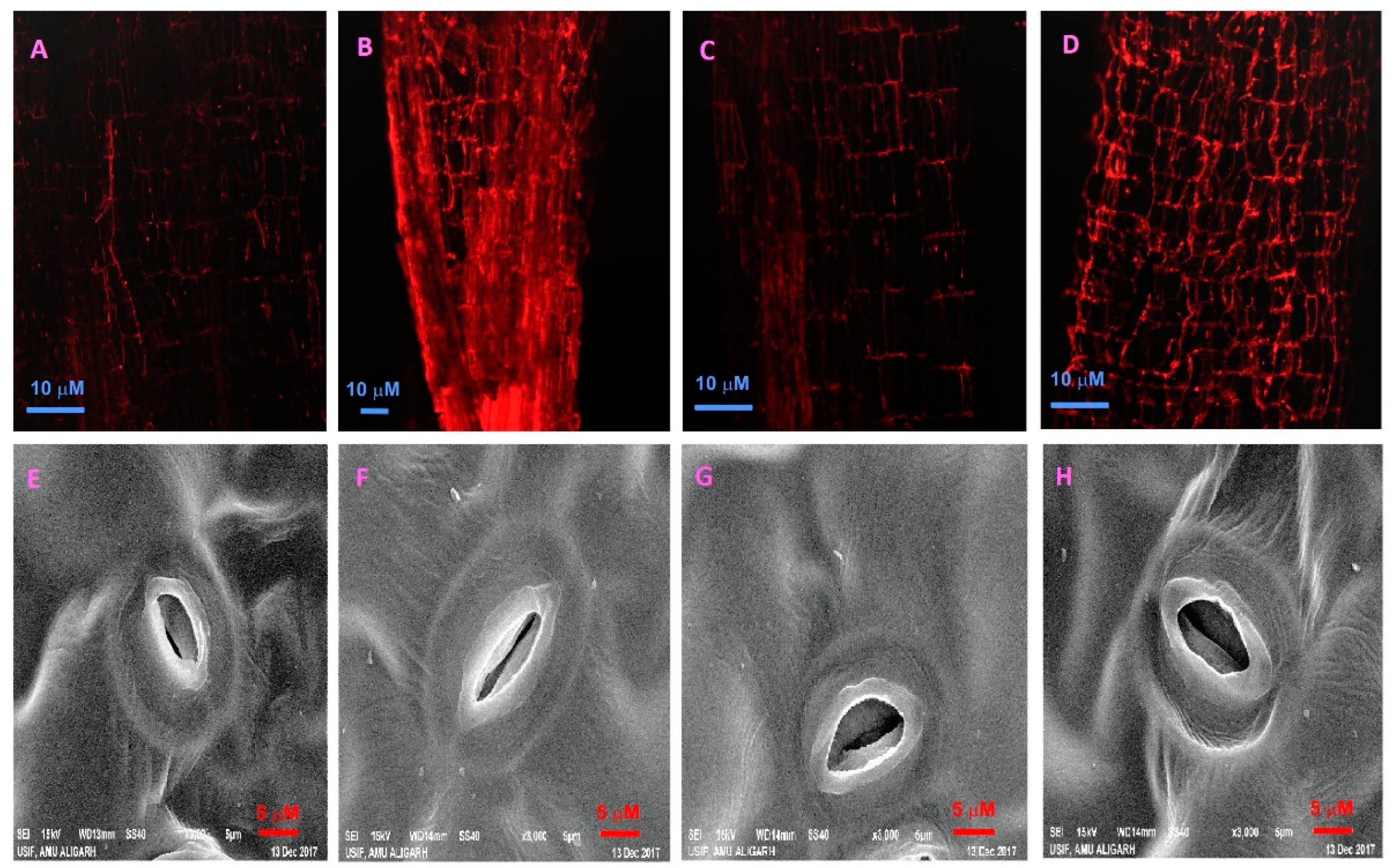 Soilsystems 05 00029 g007