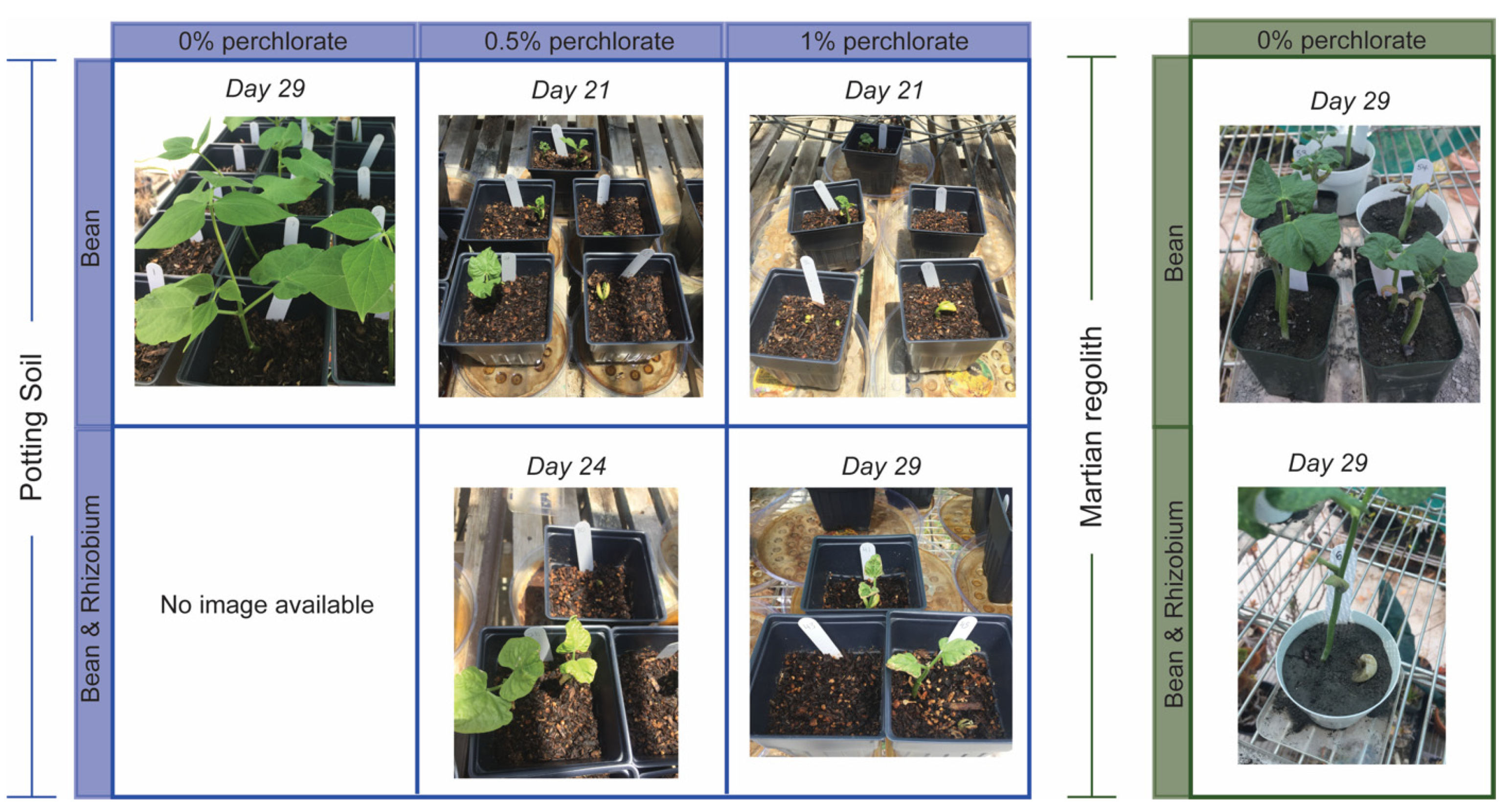 Soilsystems 05 00037 g001