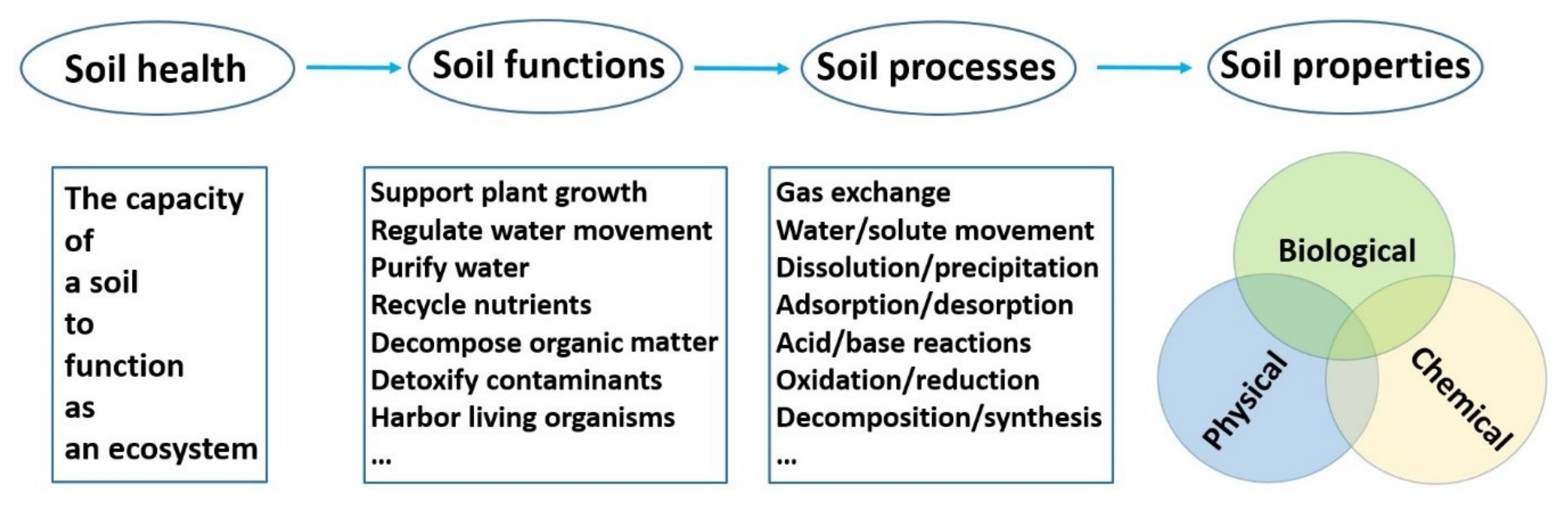 Soilsystems 05 00061 g001