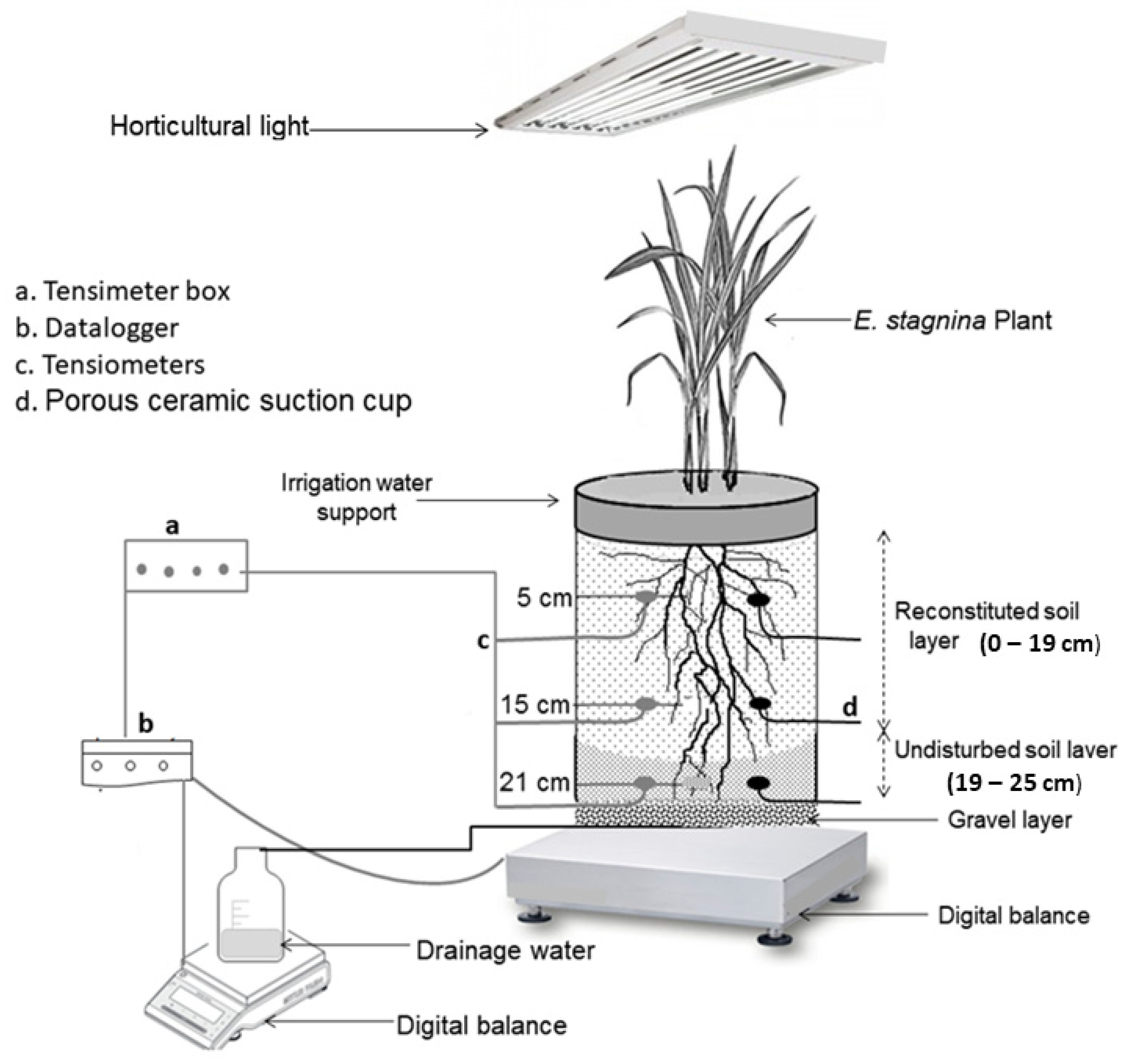 Soilsystems 06 00004 g001
