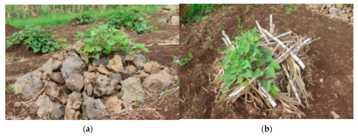 Soilsystems 06 00016 g002