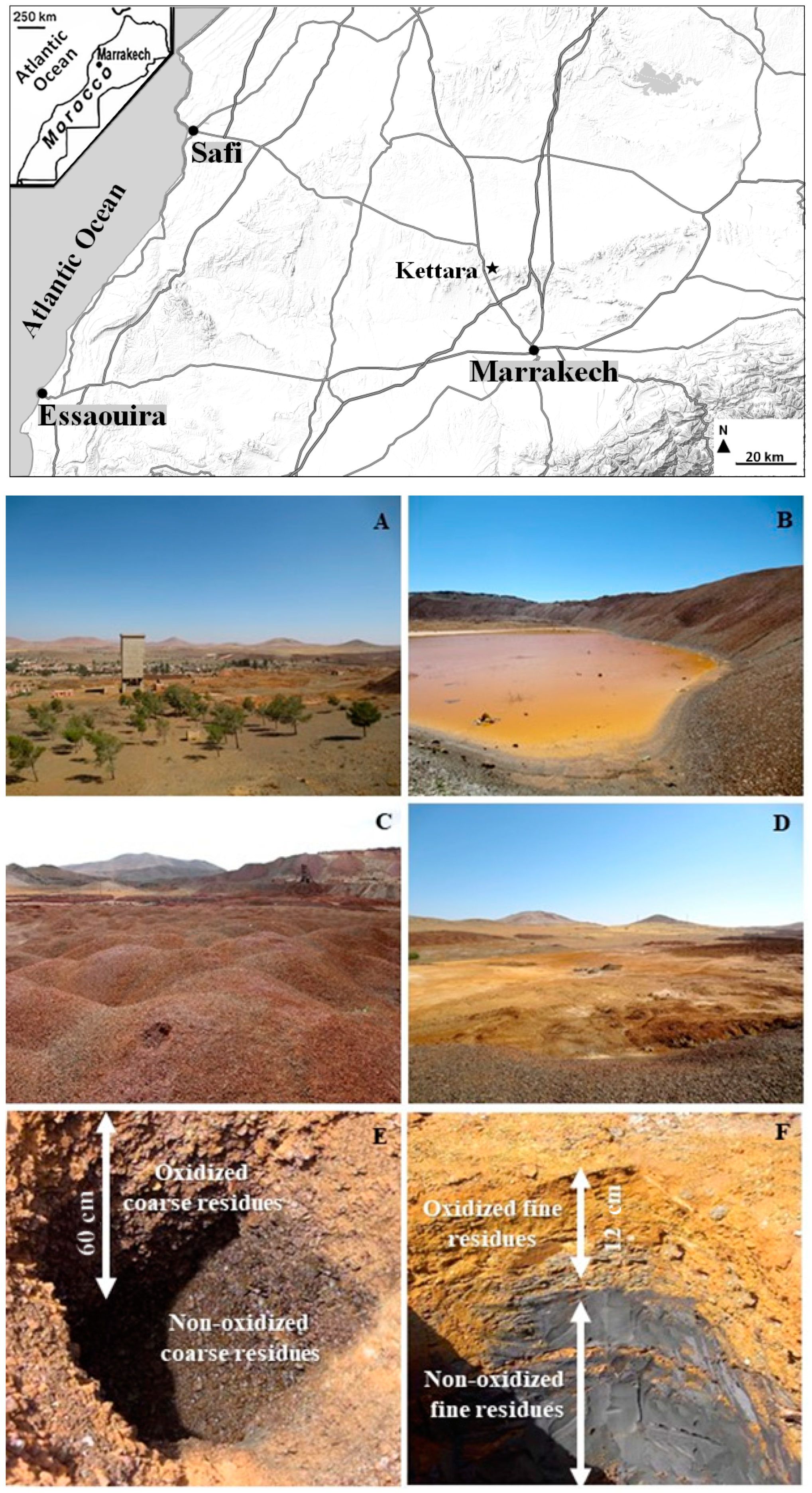 Soilsystems 06 00023 g001