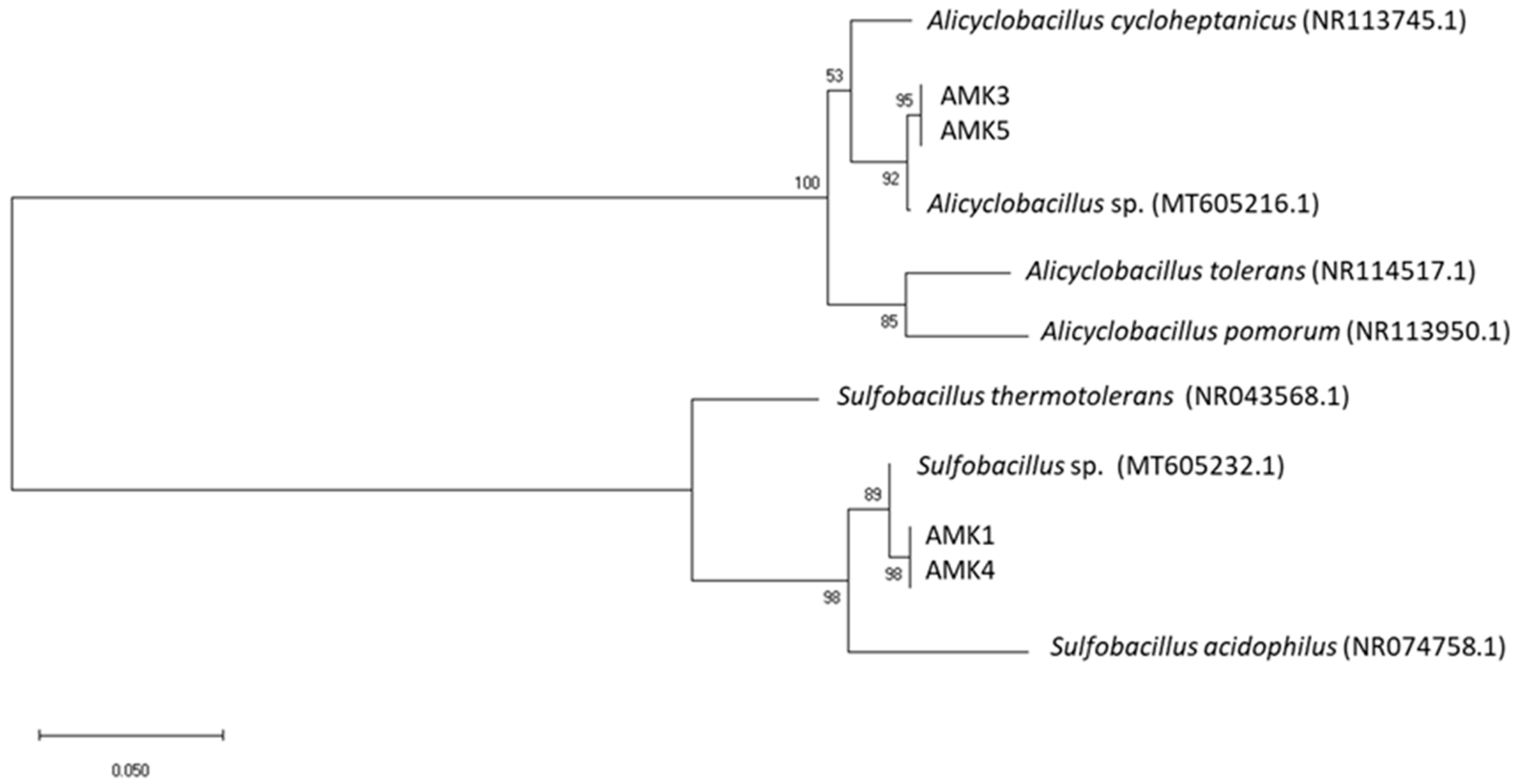 Soilsystems 06 00023 g002