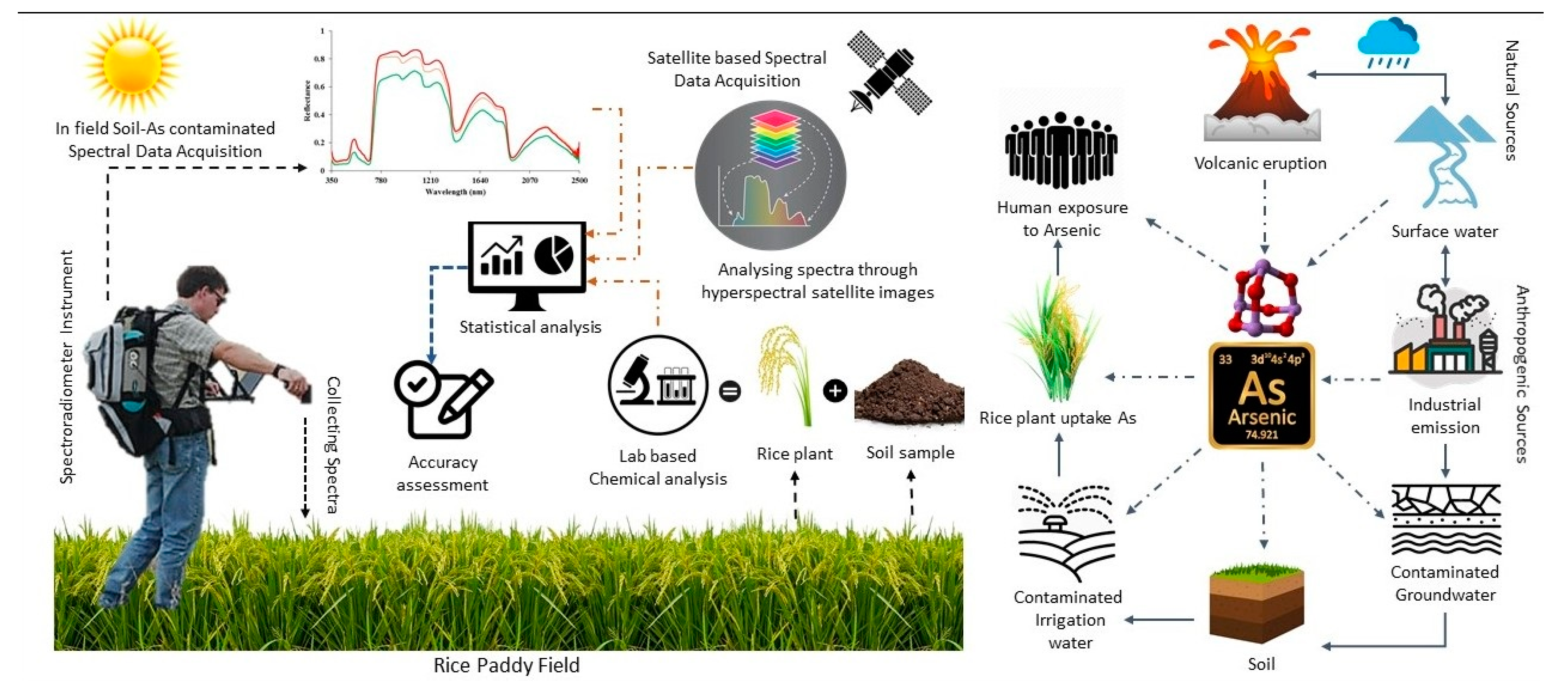 Soilsystems 06 00030 g001