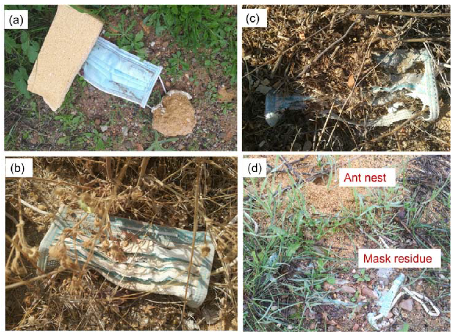 Soilsystems 06 00039 g001