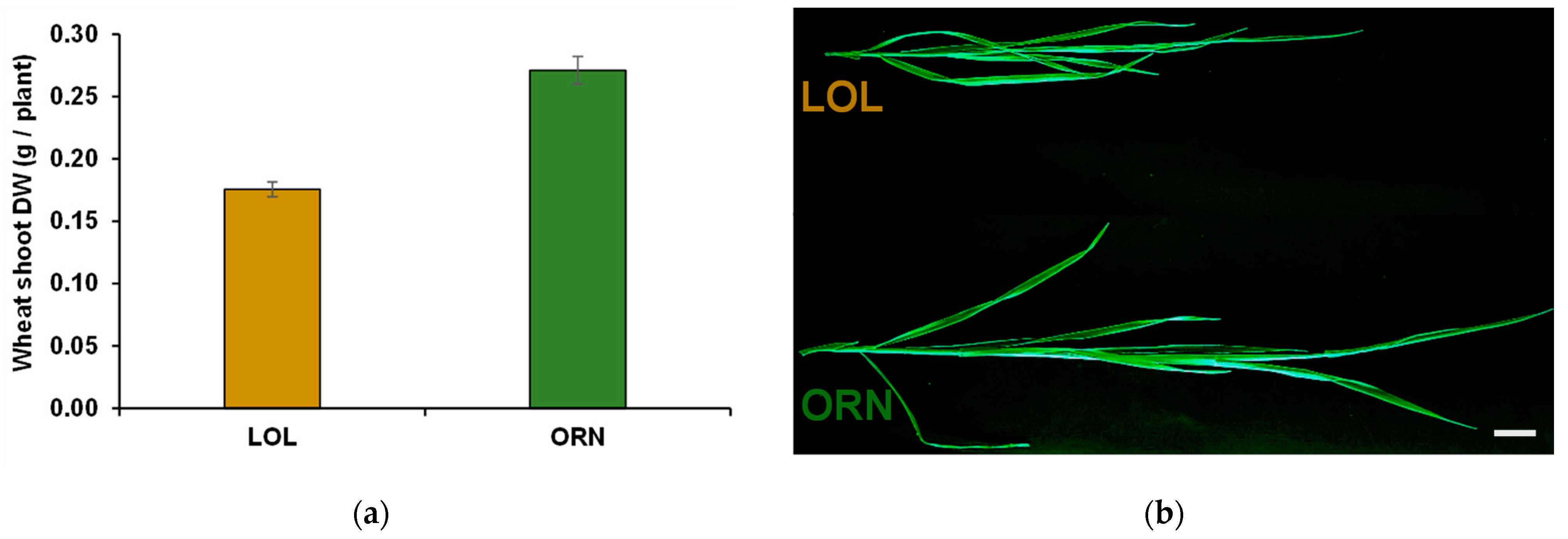 Soilsystems 06 00050 g001