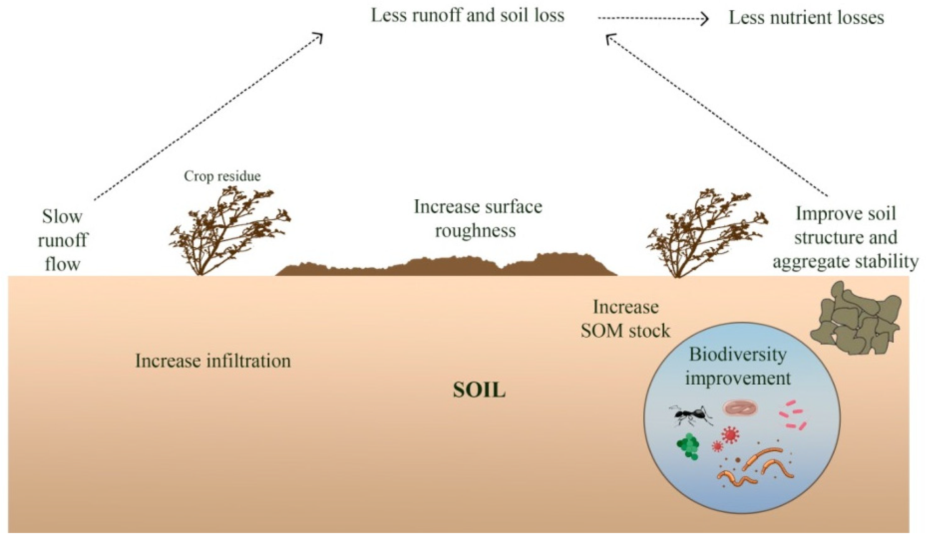Soilsystems 06 00087 g004 Soilsystems 06 00087 g004