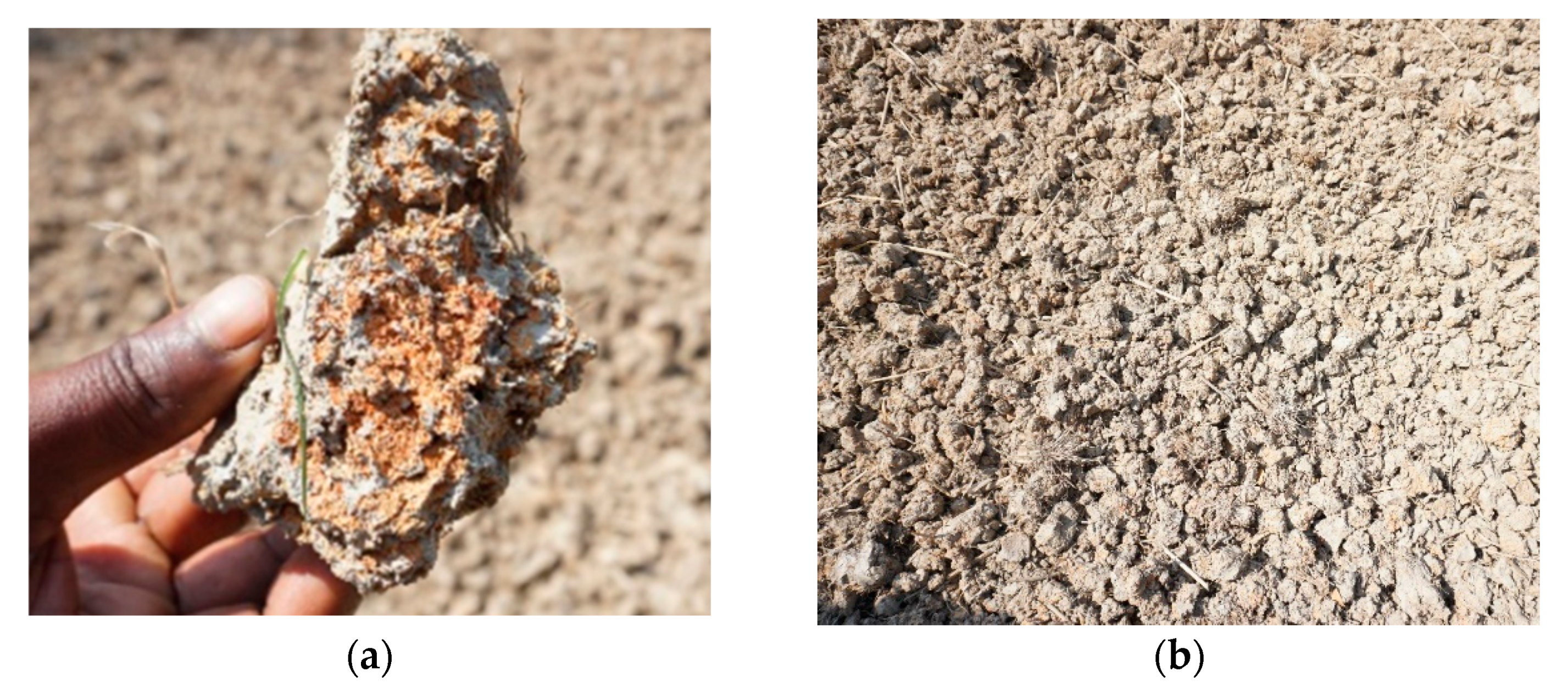 Soilsystems 06 00095 g002