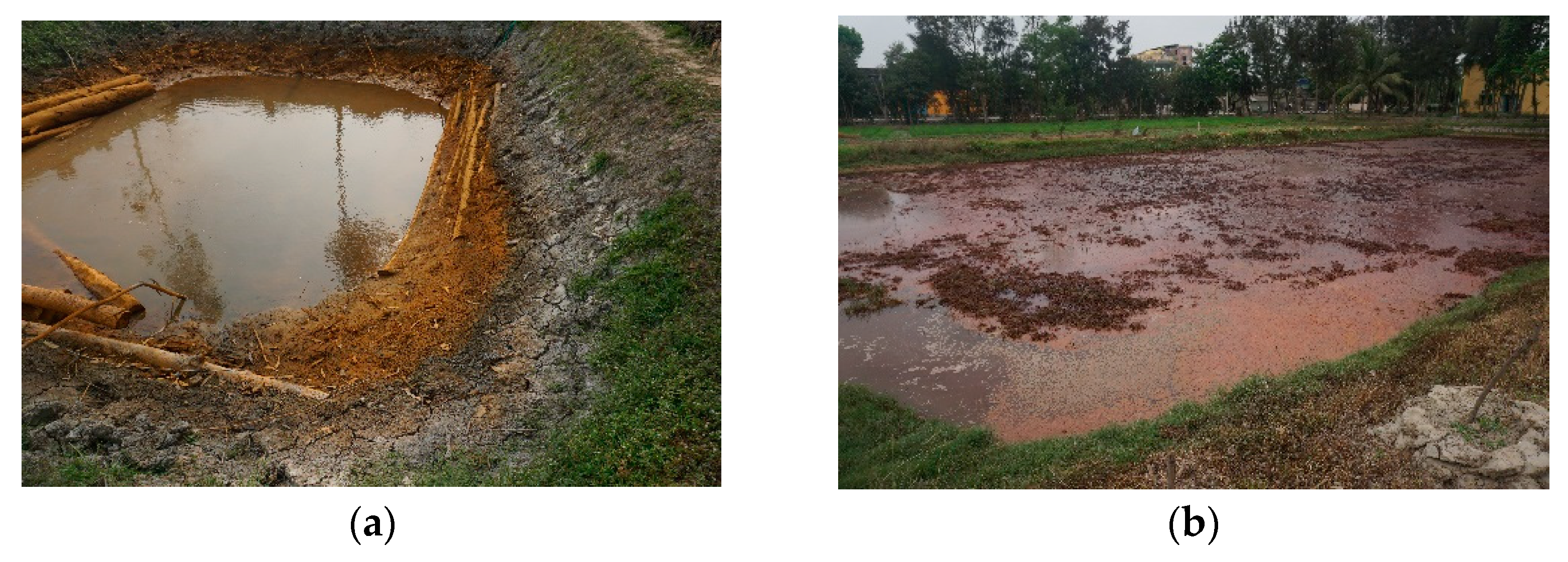 Soilsystems 06 00095 g003