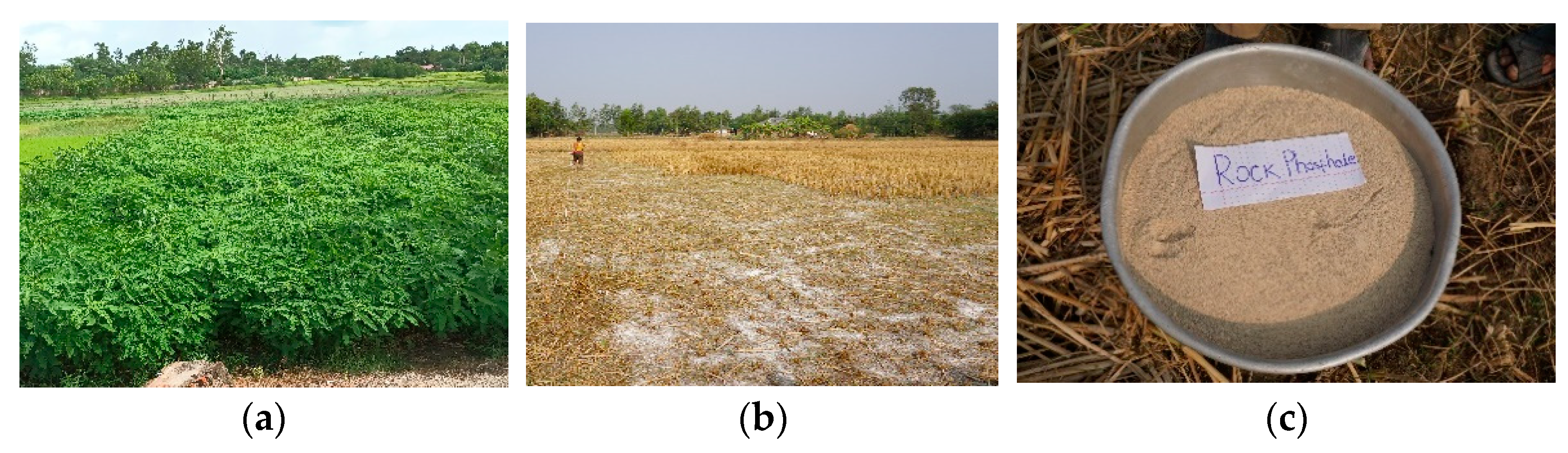 Soilsystems 06 00095 g004