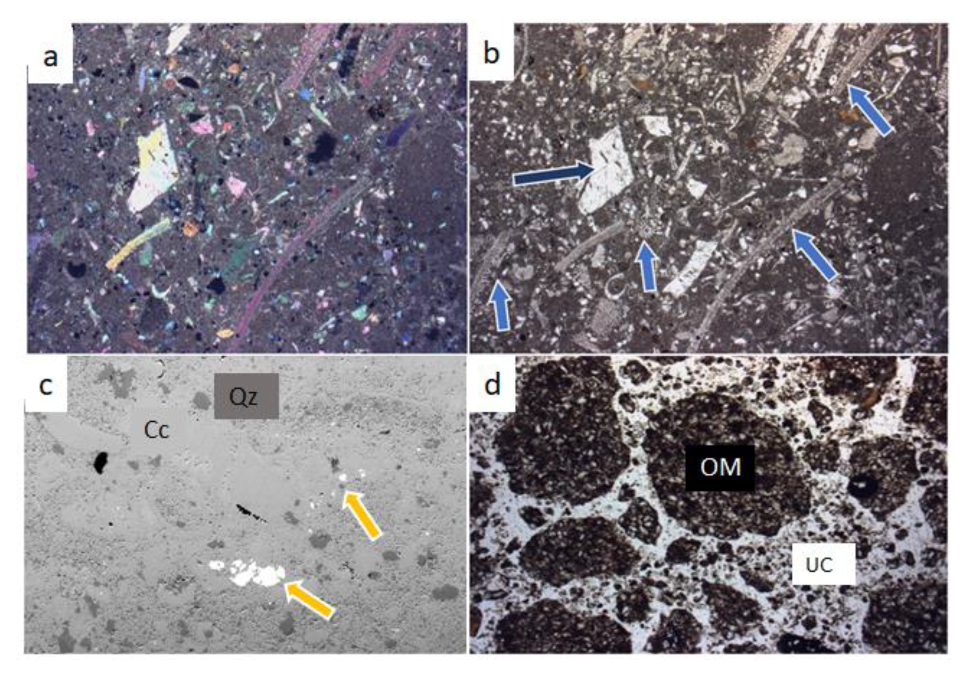 Soilsystems 07 00012 g004