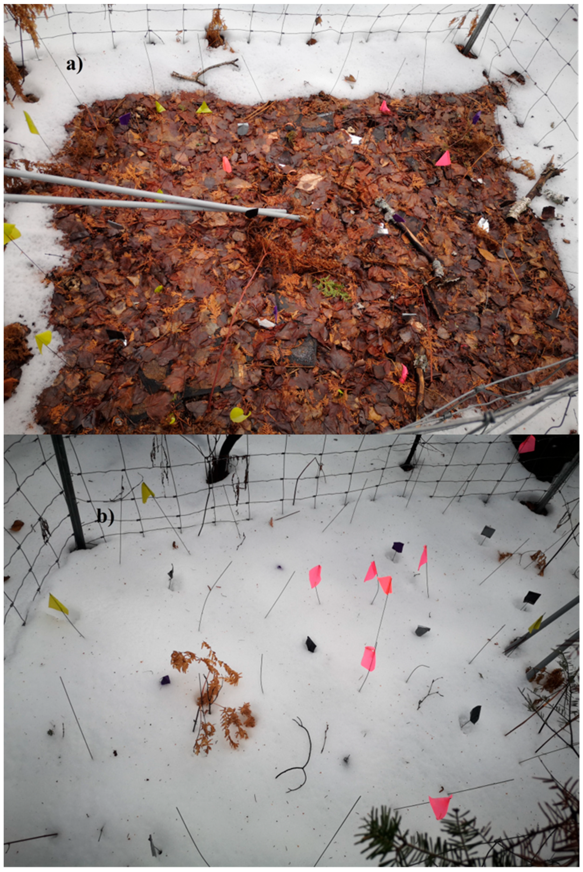 Soilsystems 07 00014 g002 Soilsystems 07 00014 g002