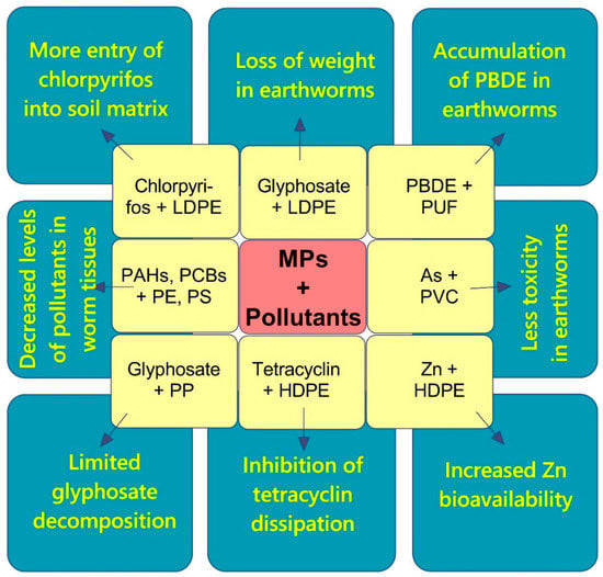 Soilsystems 07 00019 g005