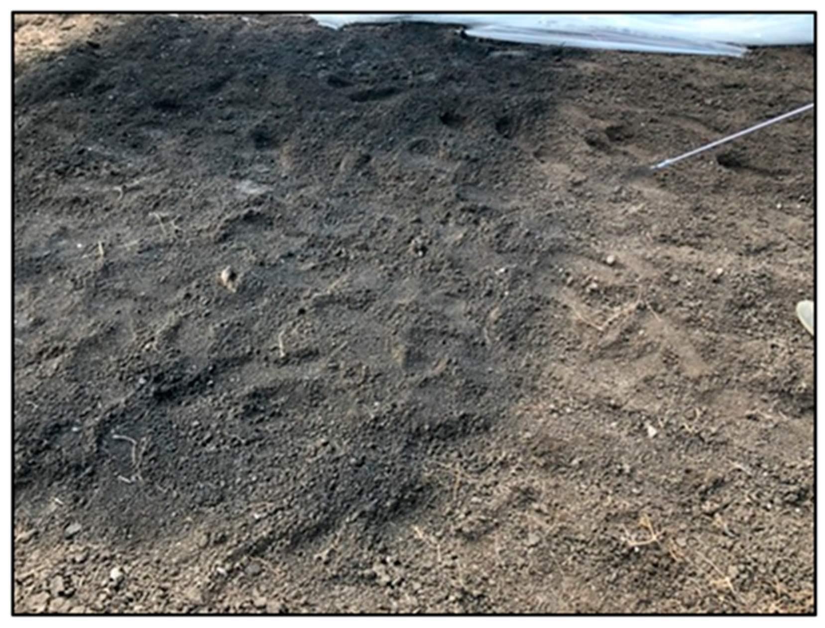 Soilsystems 07 00020 g002