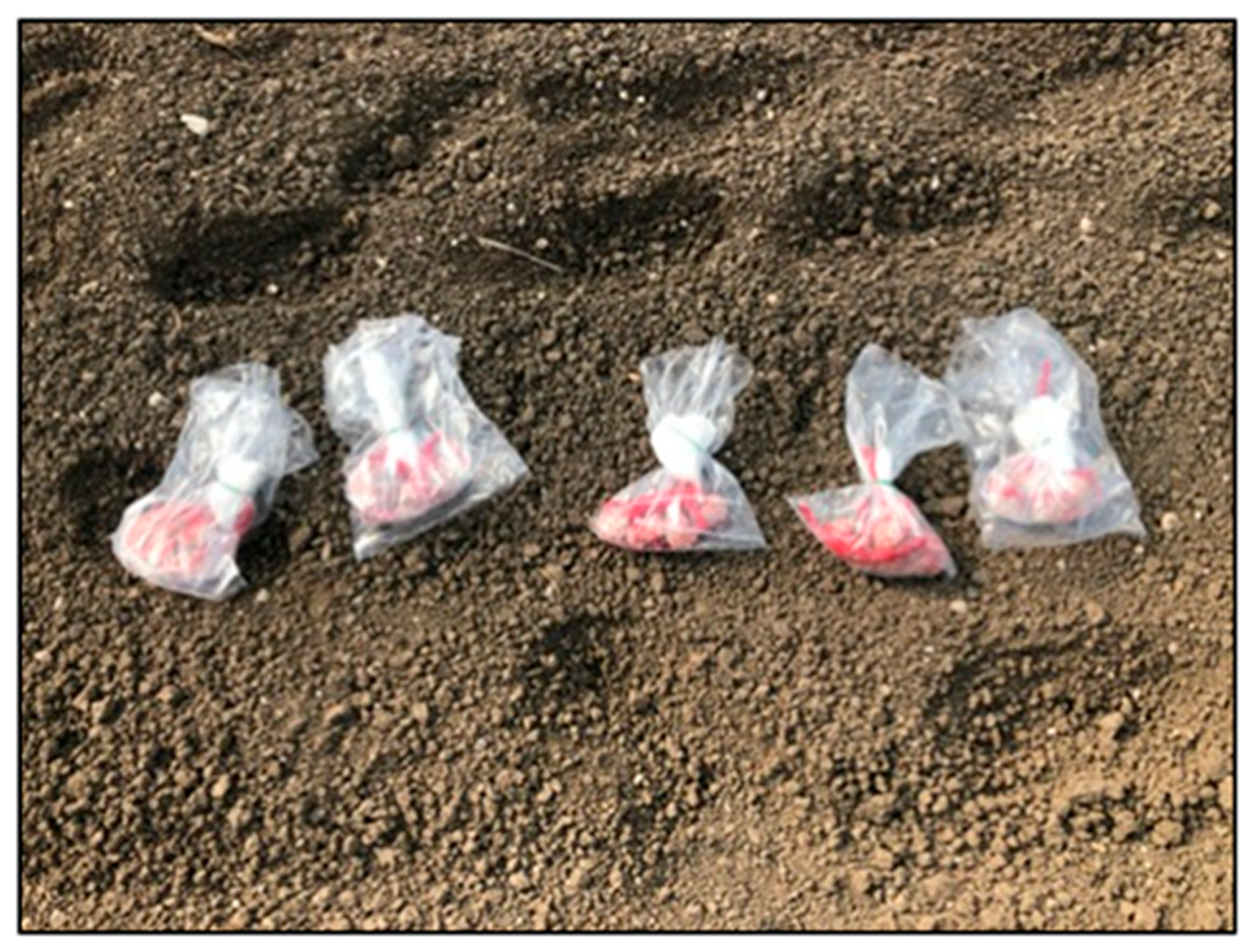 Soilsystems 07 00020 g006