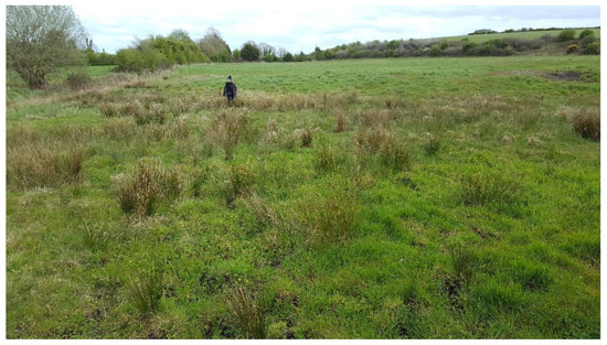 Soilsystems 07 00024 g0a3