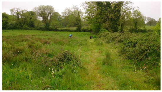 Soilsystems 07 00024 g0a4