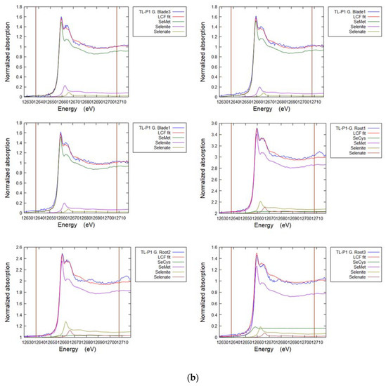 Soilsystems 07 00024 g0a5b