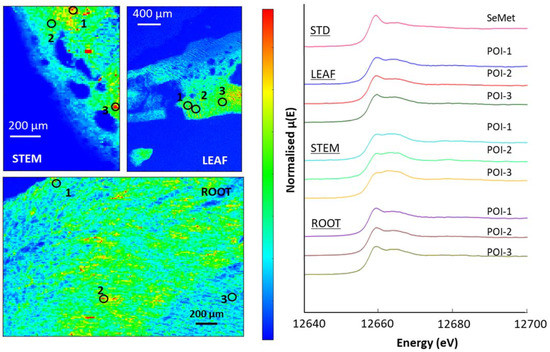 Soilsystems 07 00024 g0a6