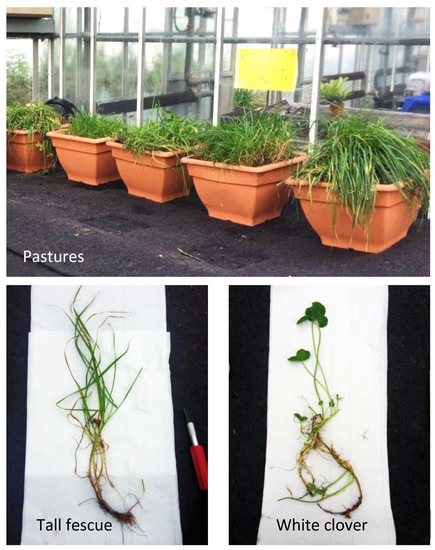 Soilsystems 07 00024 g0a7