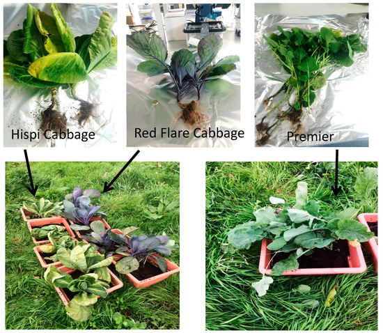 Soilsystems 07 00024 g0a8