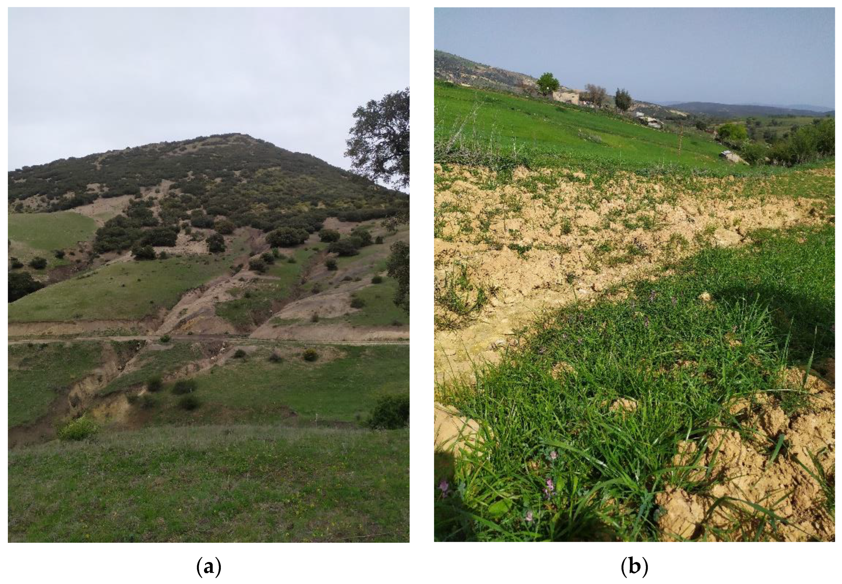 Soilsystems 07 00032 g002