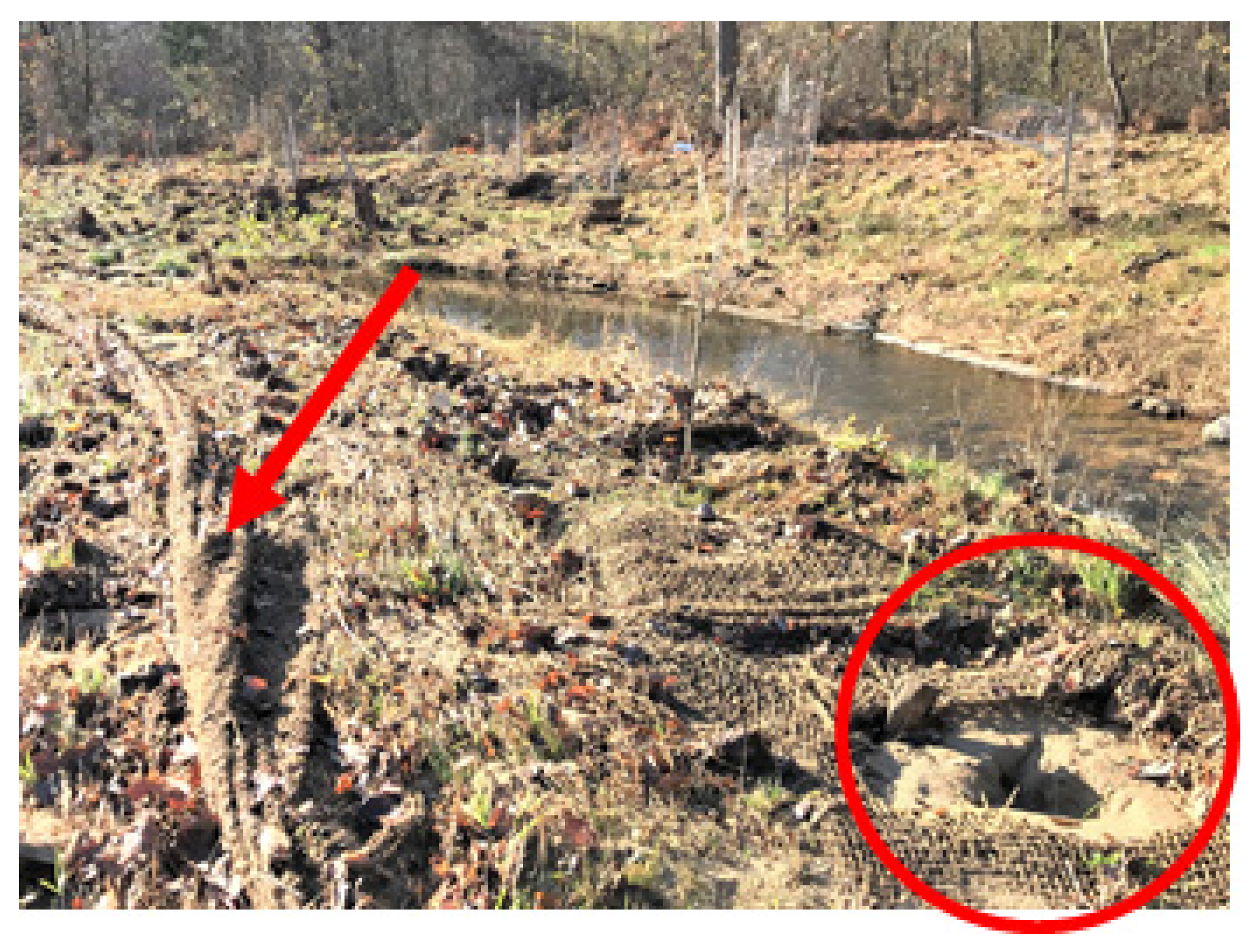 Soilsystems 07 00036 g002