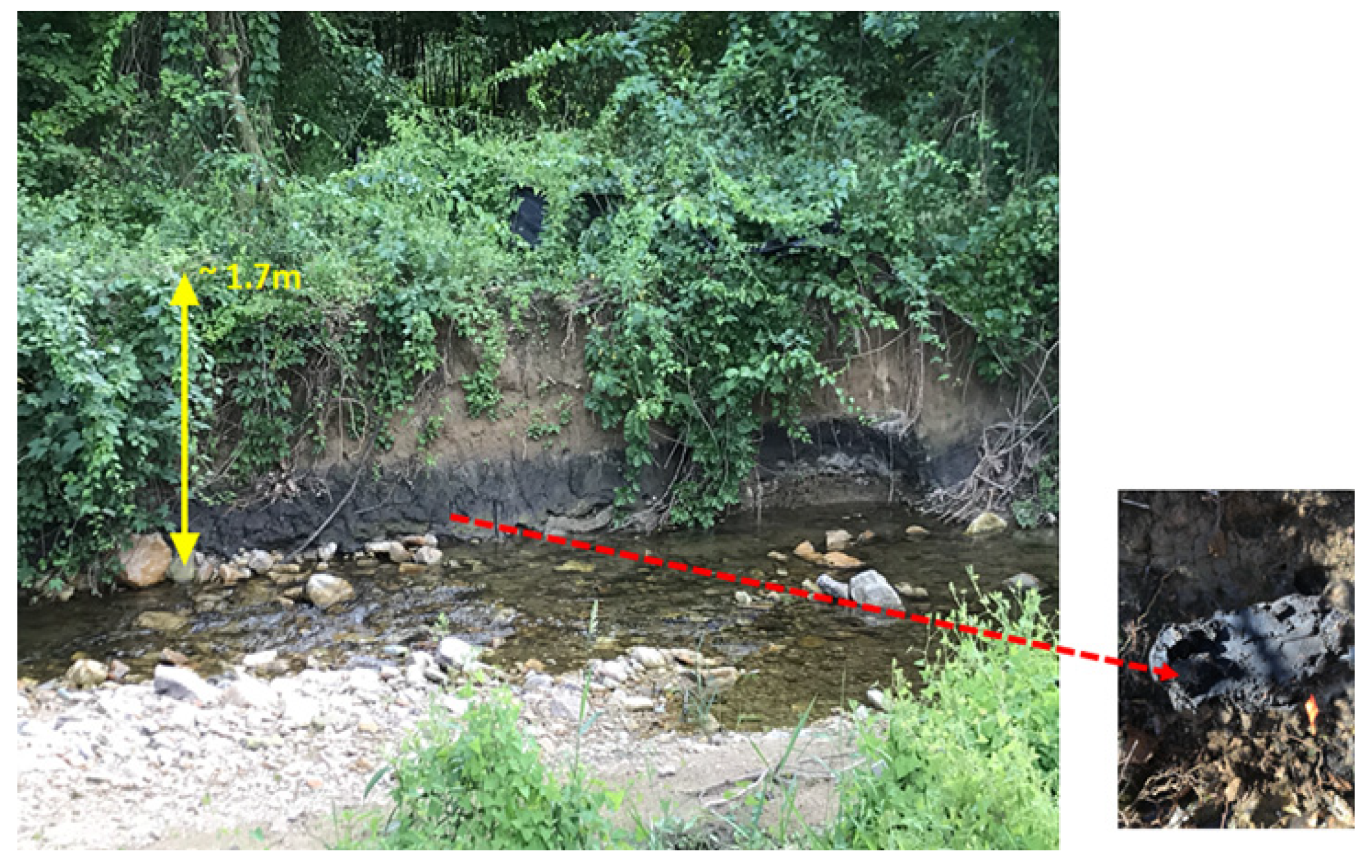 Soilsystems 07 00036 g003