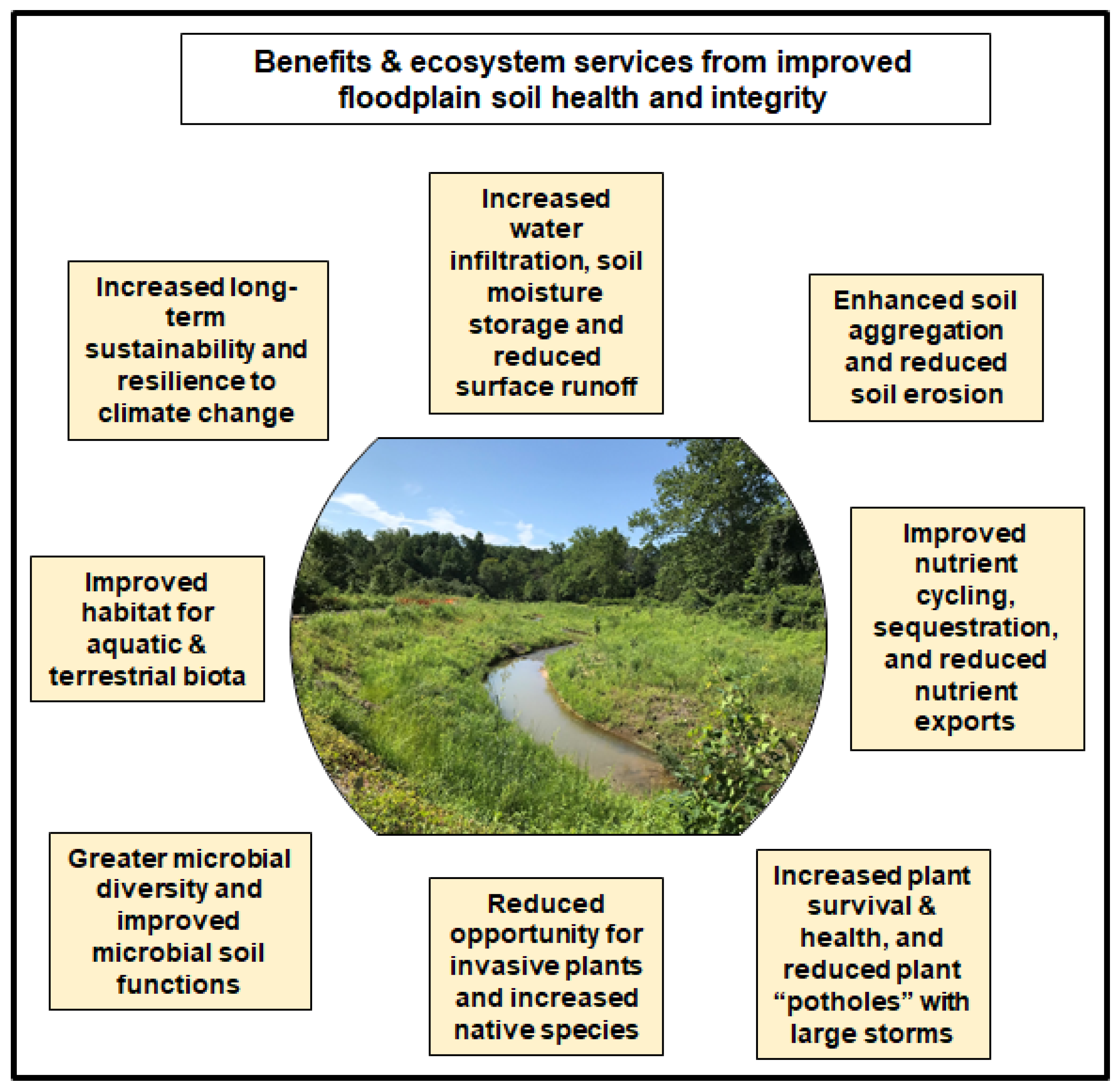 Soilsystems 07 00036 g004