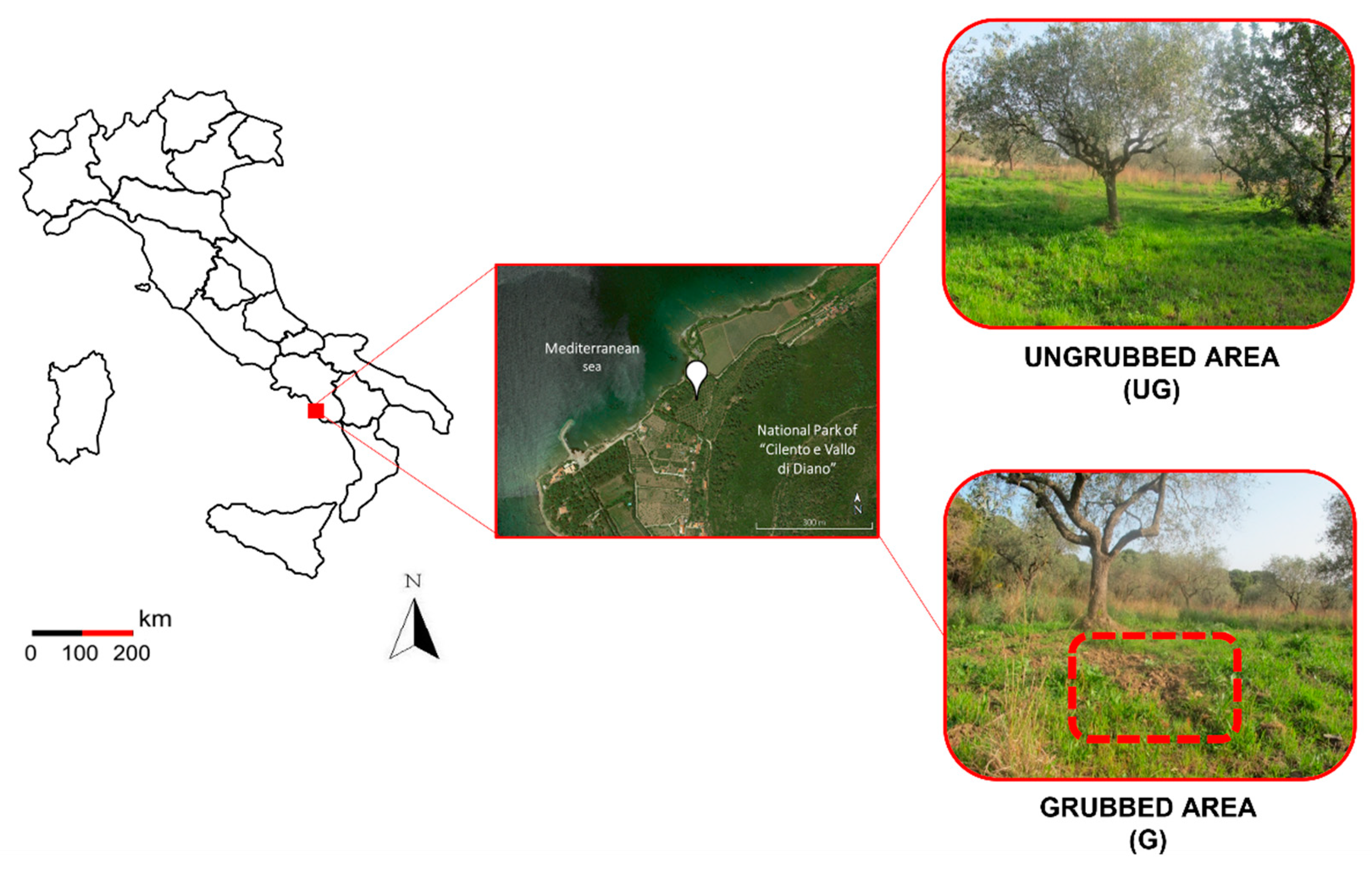Soilsystems 07 00038 g001