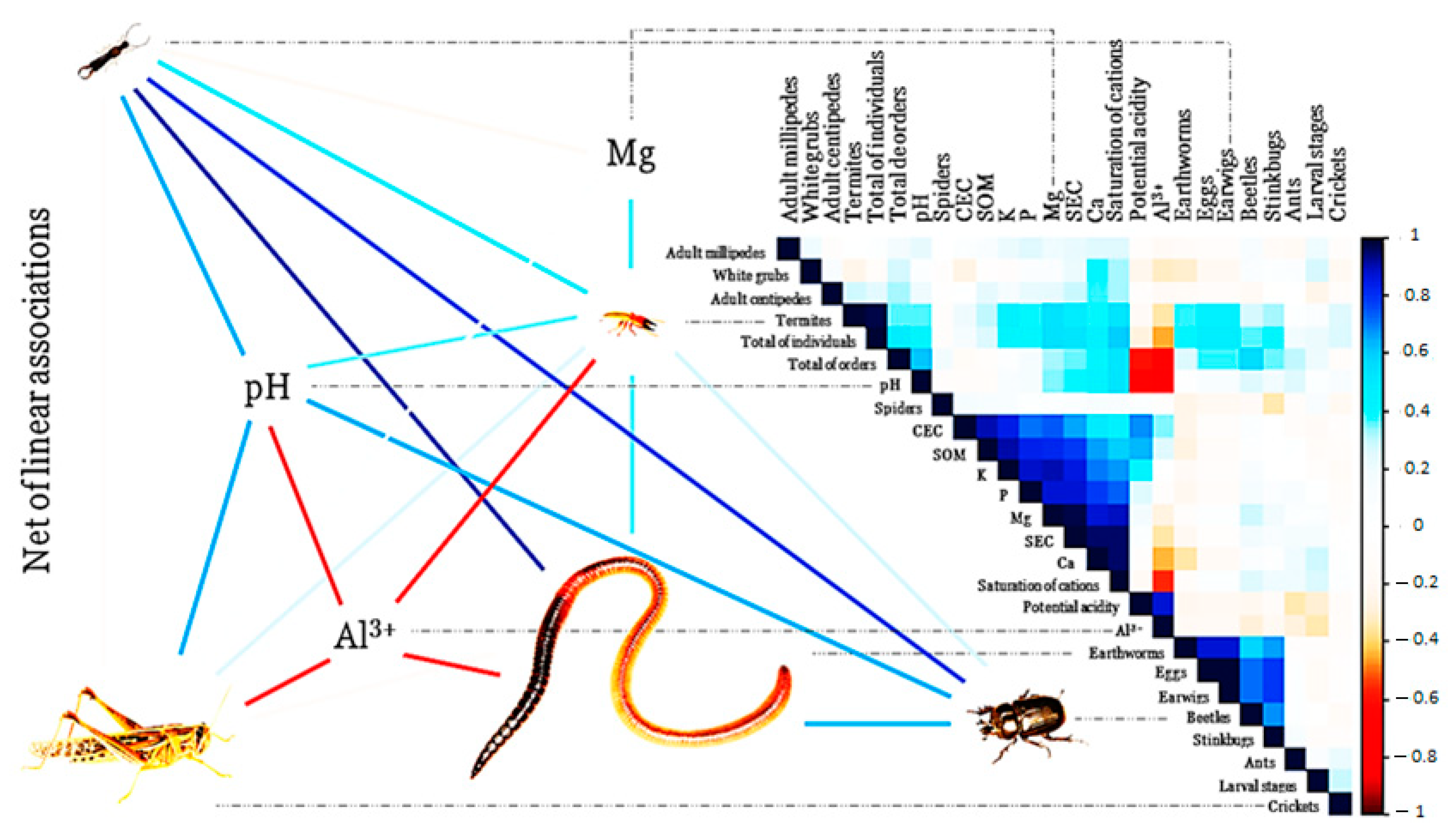 Soilsystems 07 00056 g002