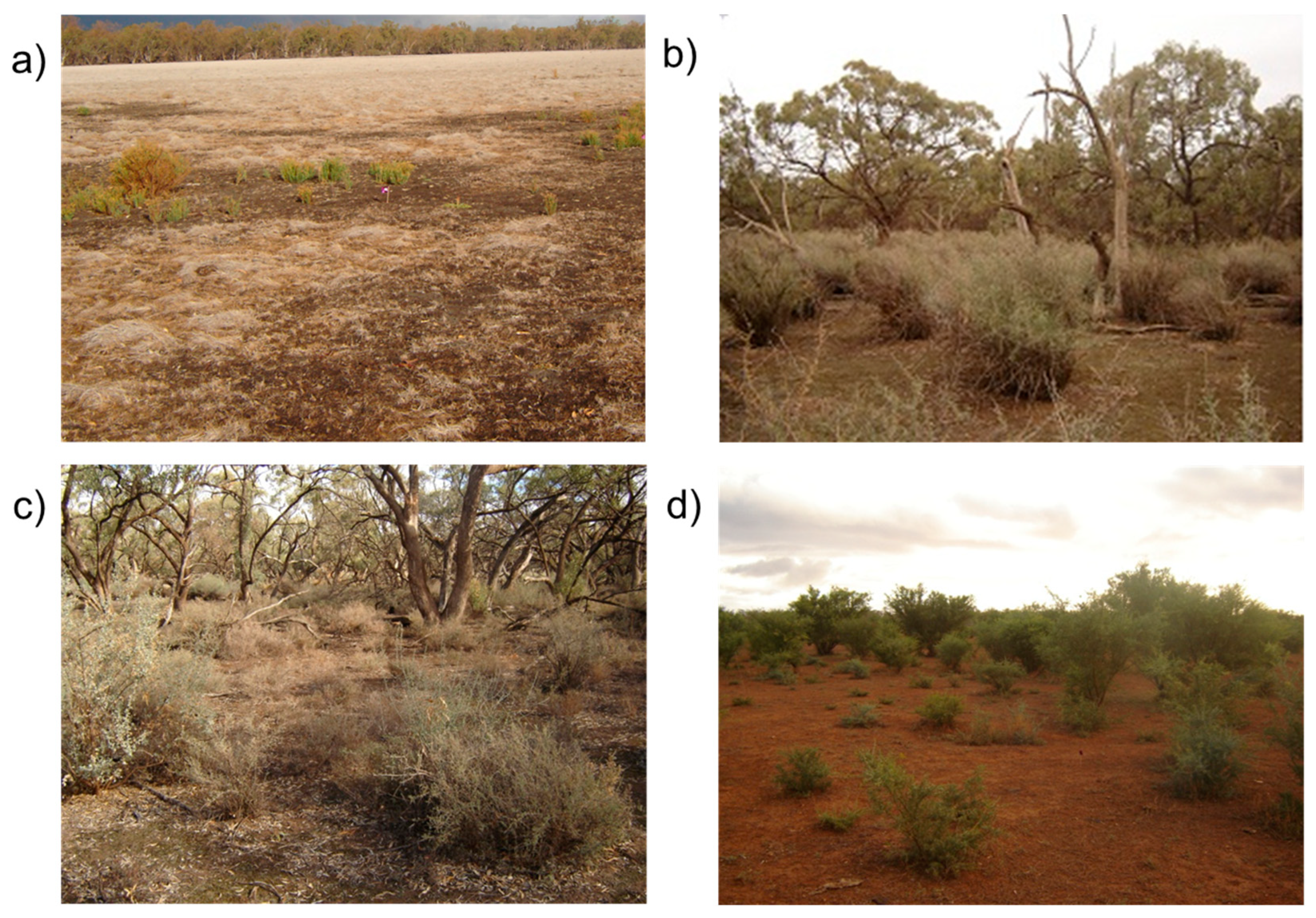 Soilsystems 07 00063 g003