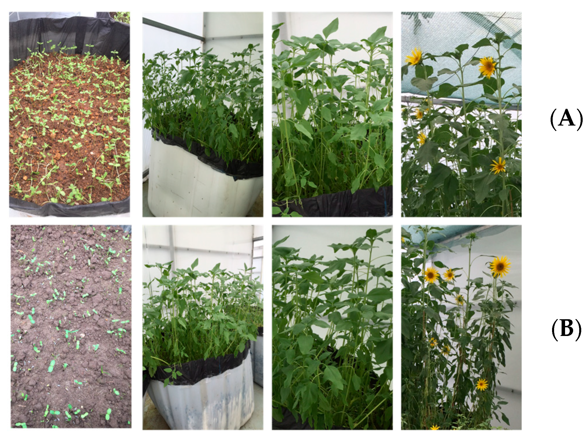 Soilsystems 07 00069 g001