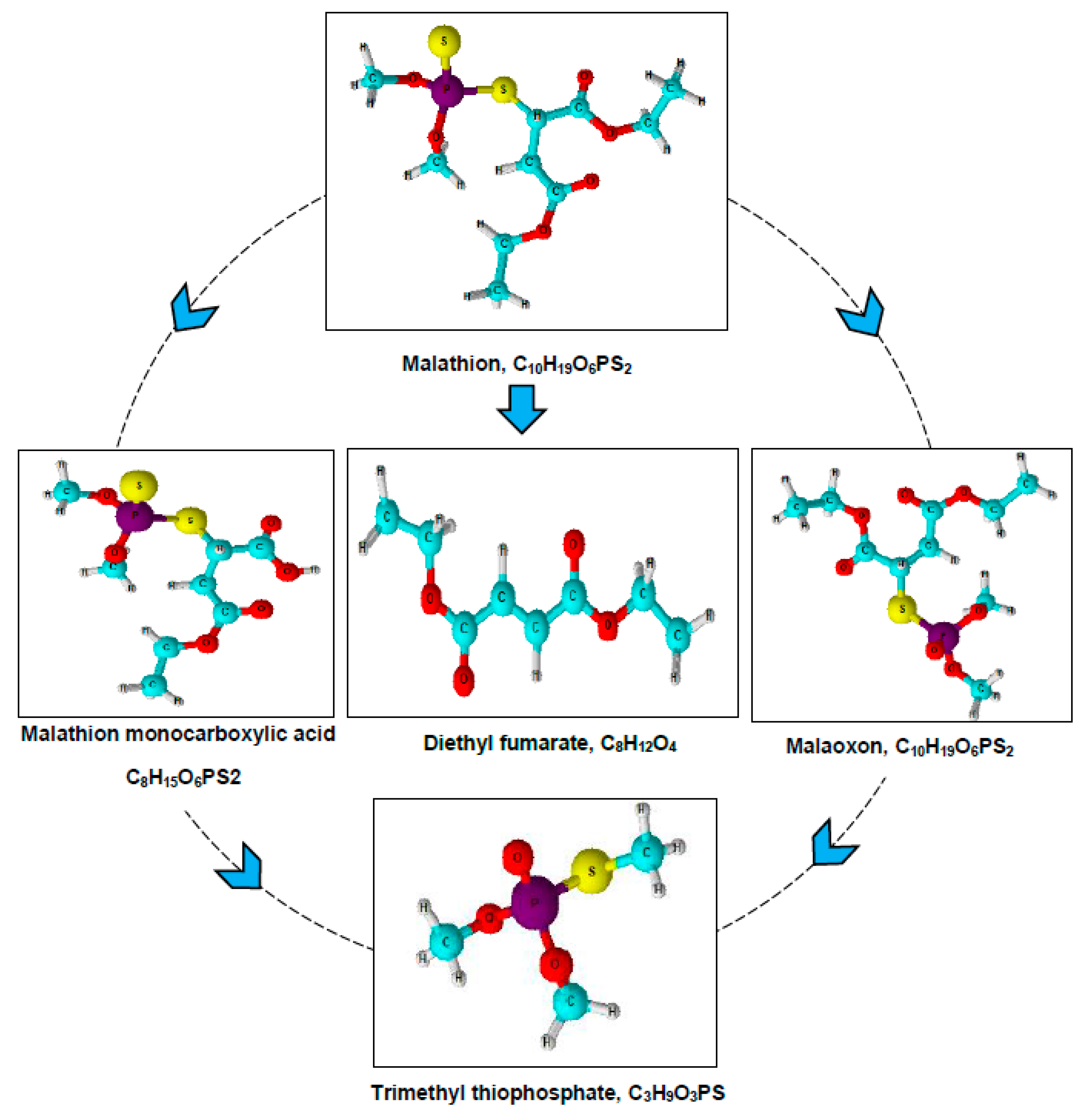 Soilsystems 07 00081 g002