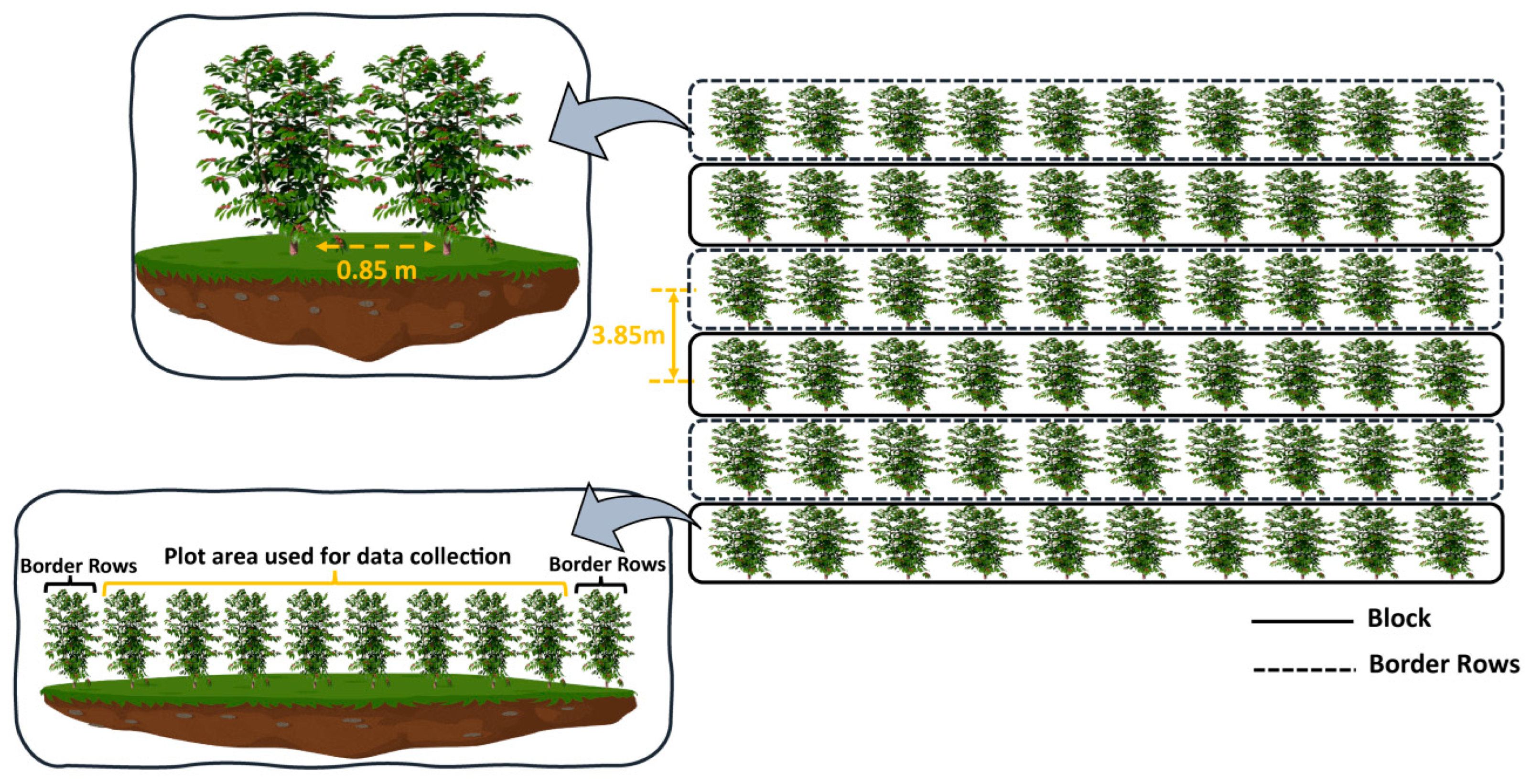 Soilsystems 07 00083 g001 Soilsystems 07 00083 g001