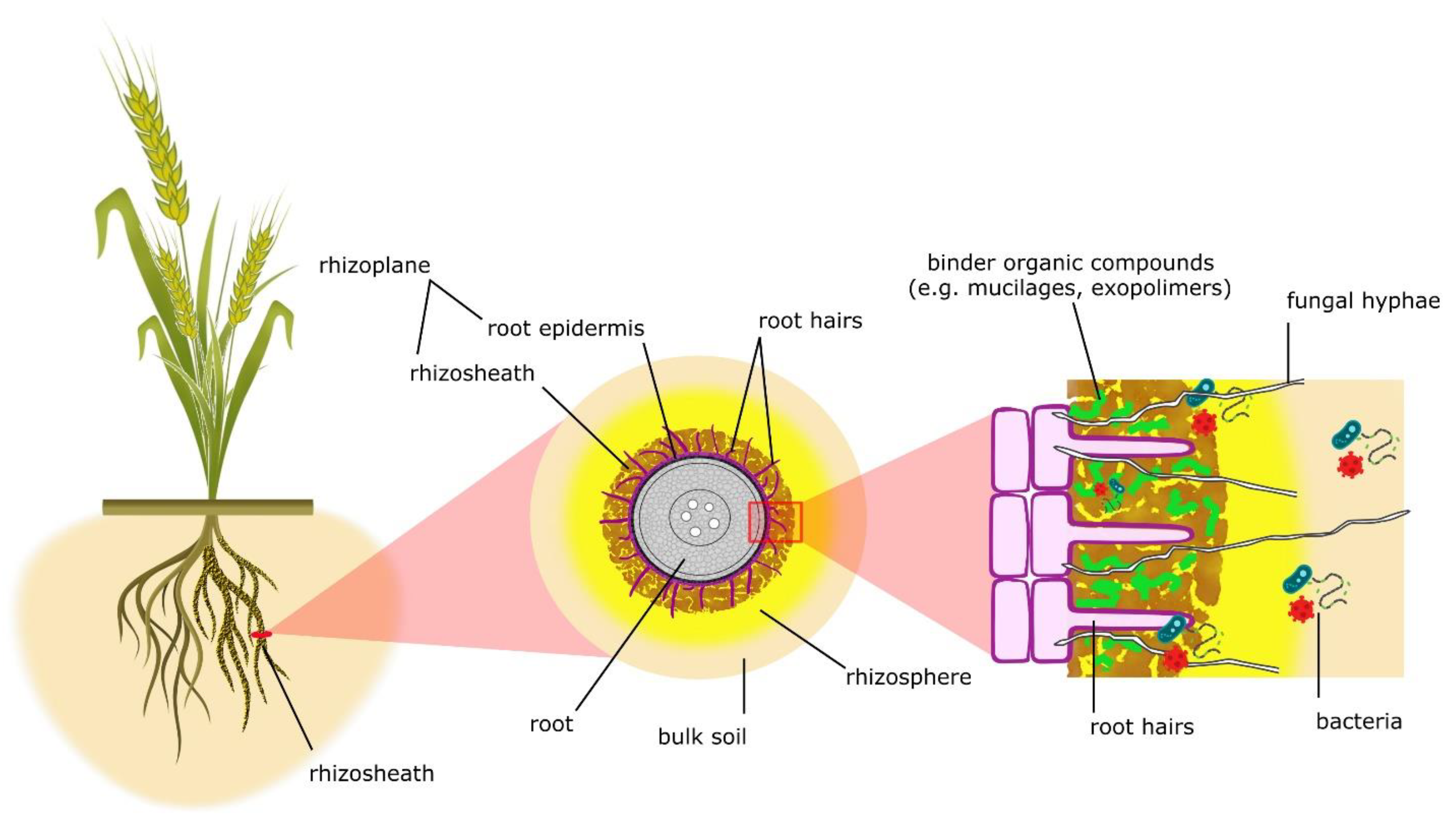 Soilsystems 07 00106 g001