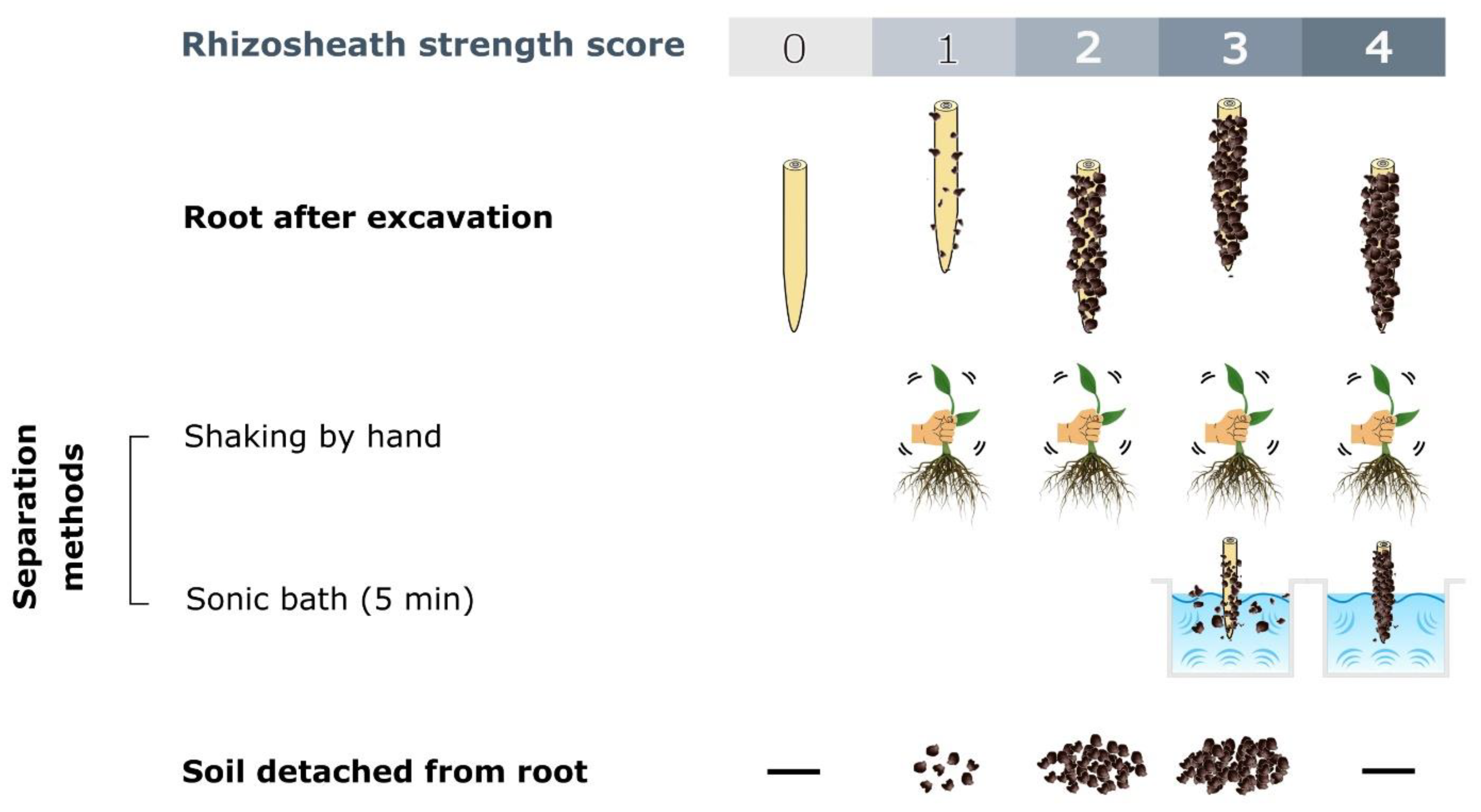 Soilsystems 07 00106 g002