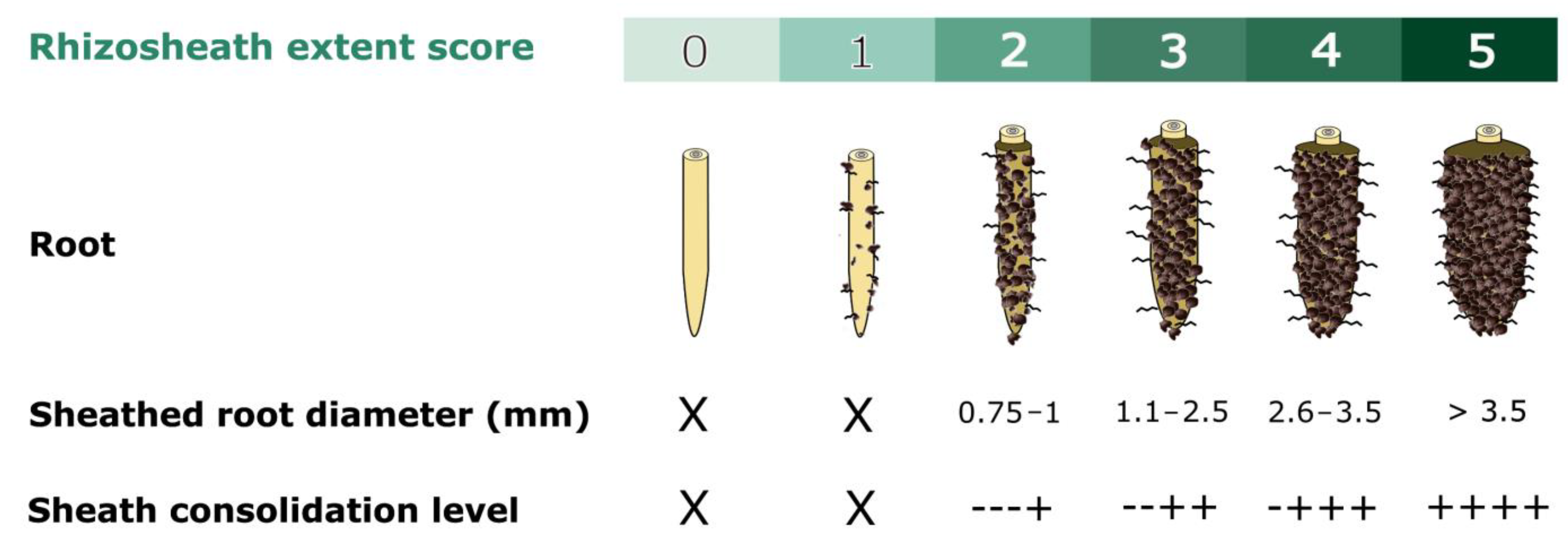 Soilsystems 07 00106 g003