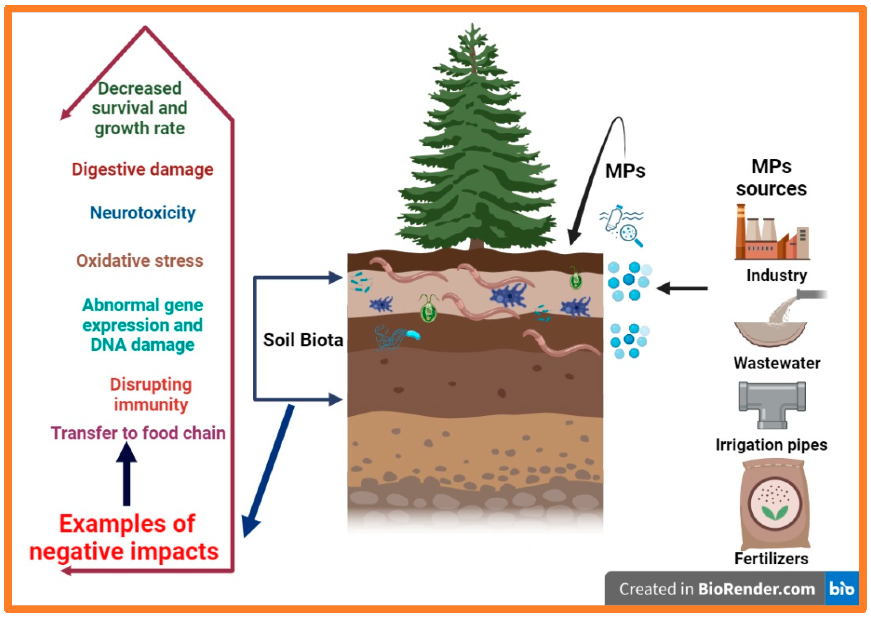 Soilsystems 07 00110 g003
