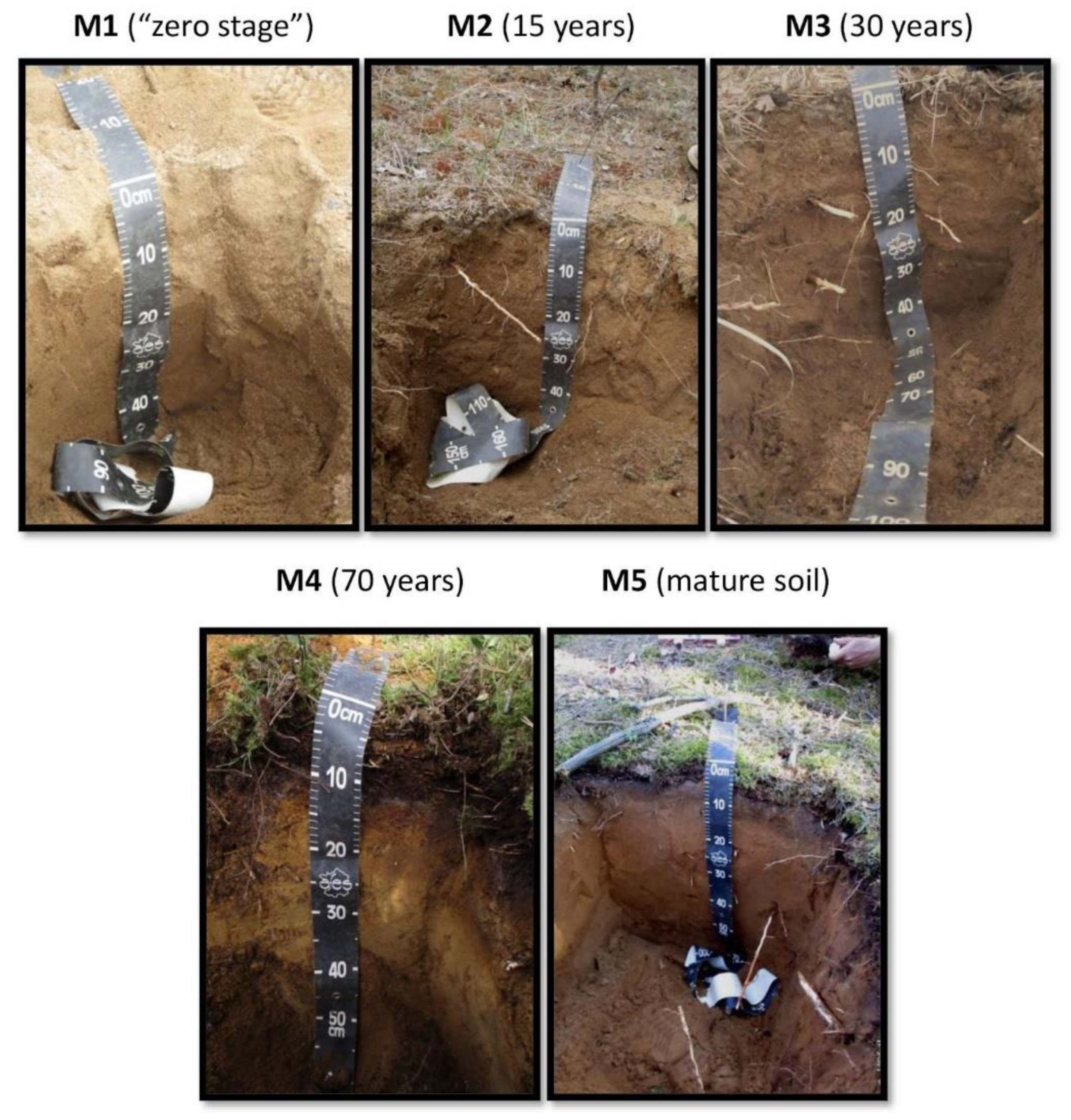 Soilsystems 08 00009 g002 Soilsystems 08 00009 g002