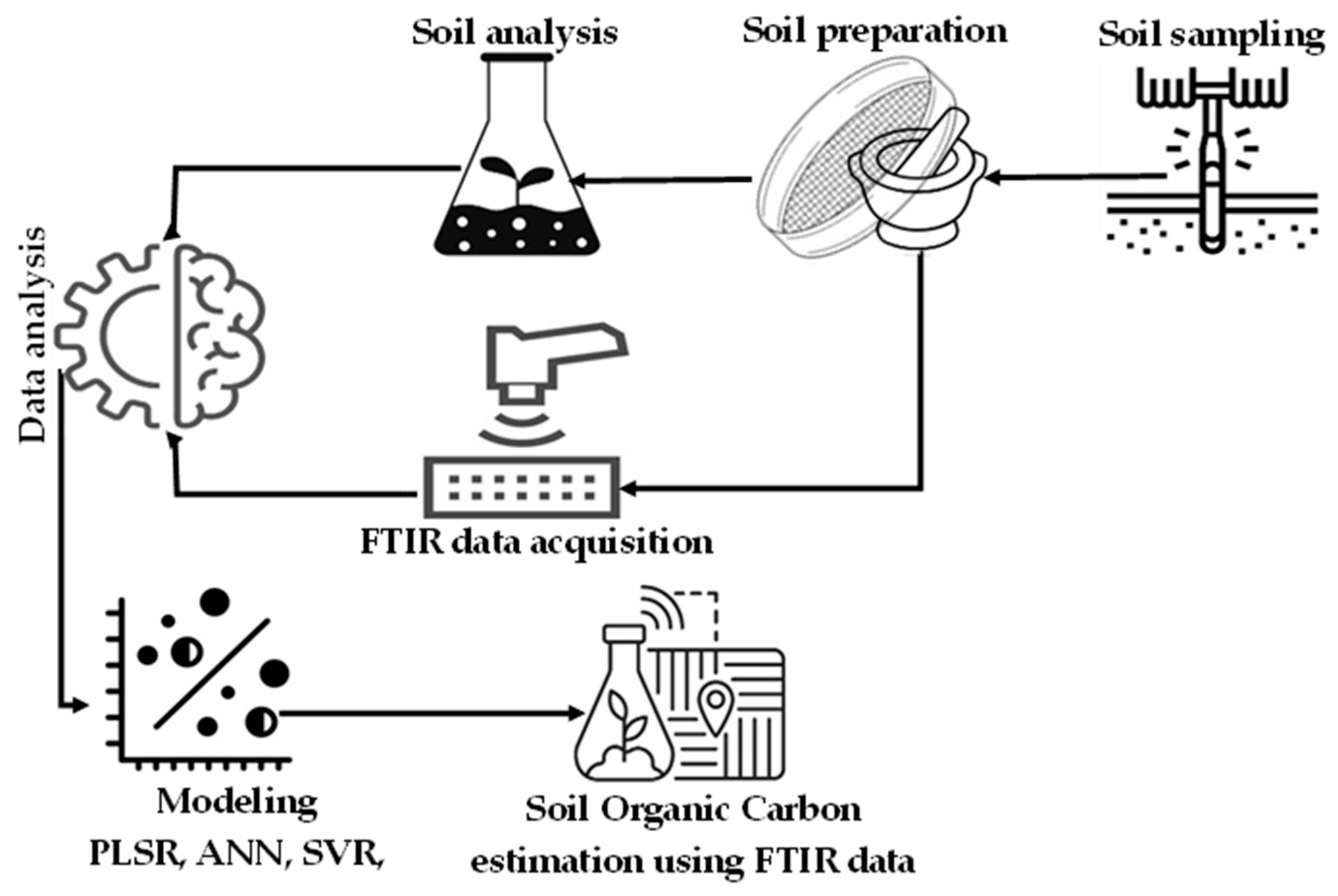 Soilsystems 08 00022 g001 Soilsystems 08 00022 g001