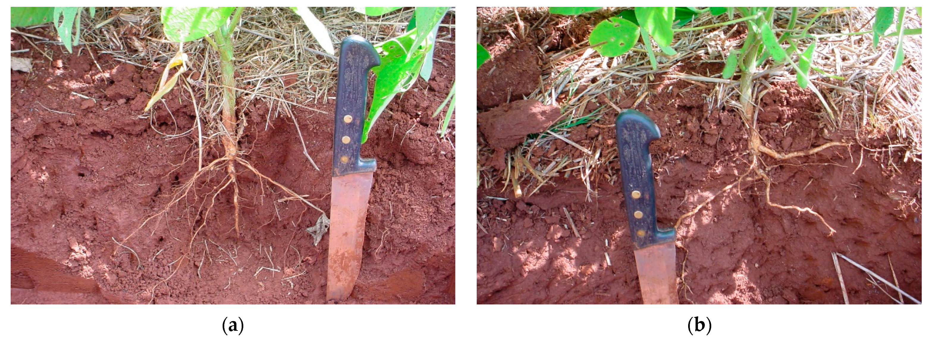 Soilsystems 08 00045 g005