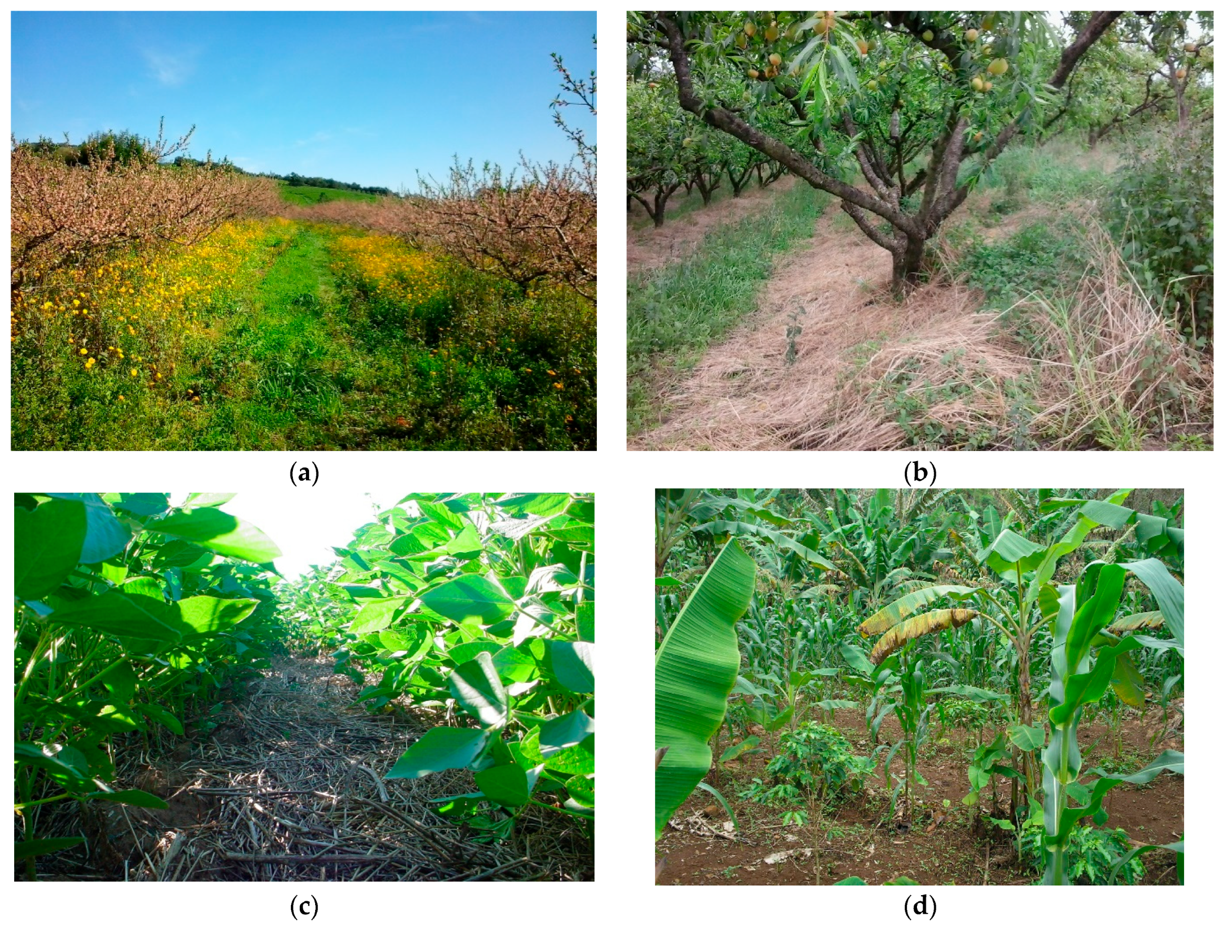 Soilsystems 08 00045 g006