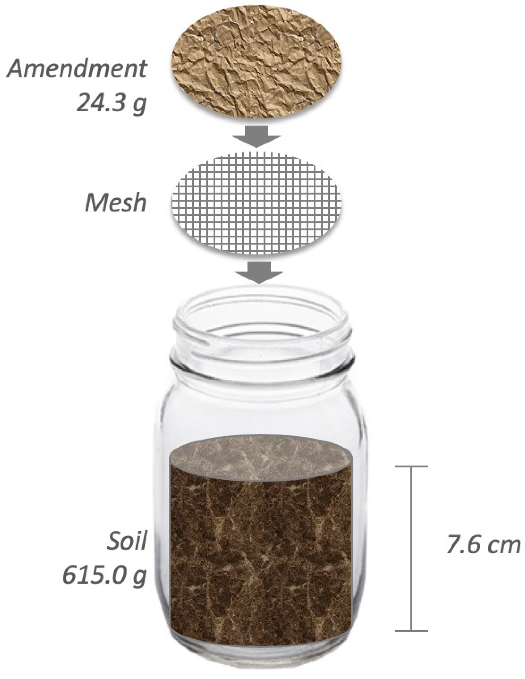 Soilsystems 08 00051 g001