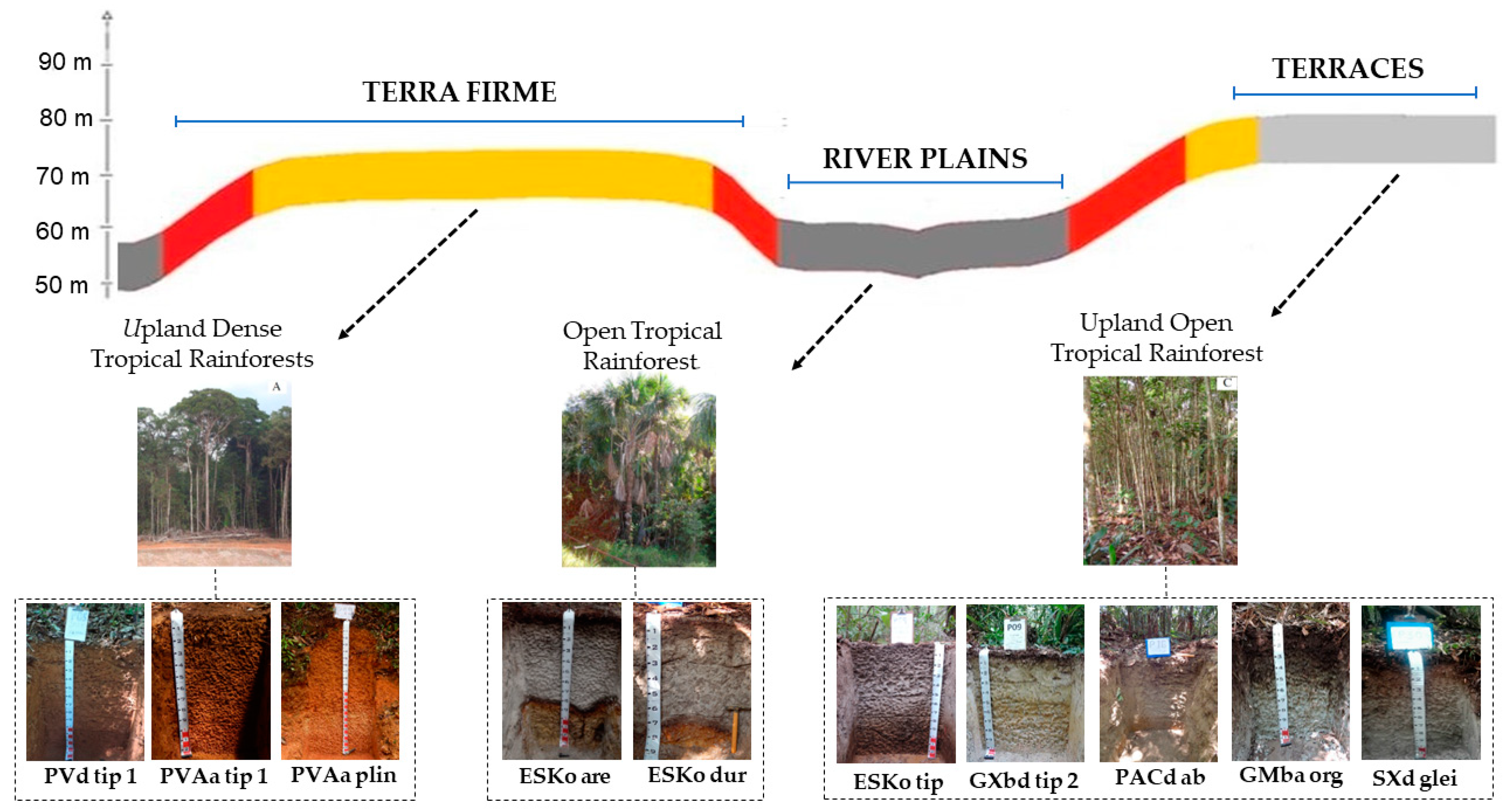Soilsystems 08 00065 g003